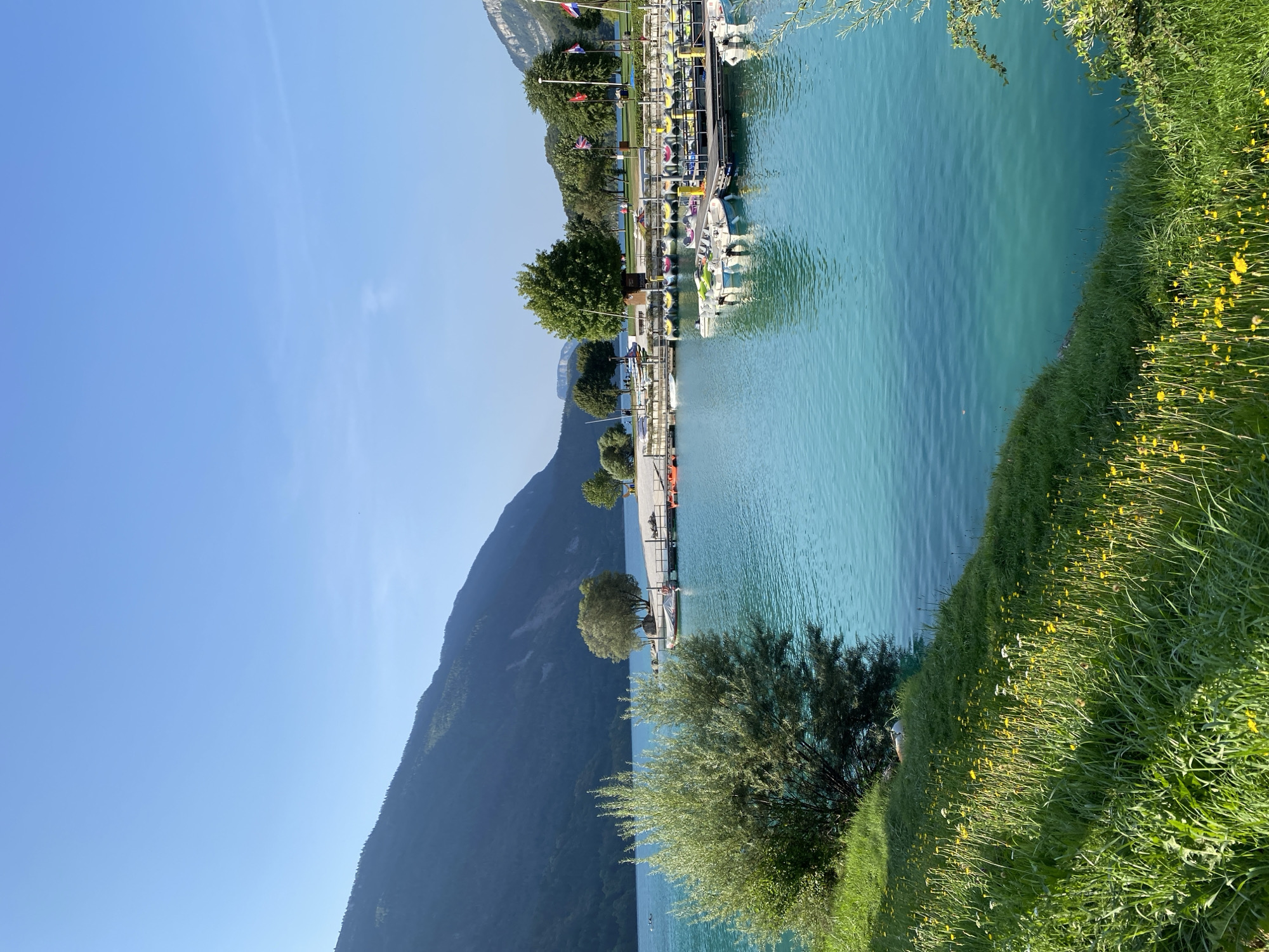 A scenic view of Lake Molveno, Italy, showcases a vibrant turquoise body of water. In the foreground, a grassy incline is dotted with yellow wildflowers. The middle ground features a marina with several docked boats and a pier. Beyond the marina, a sandy beach area is visible, and a single tree stands on the shore. The background is dominated by a majestic, tree-covered mountain range under a clear blue sky. The sun is shining, casting light on the water and the landscape.