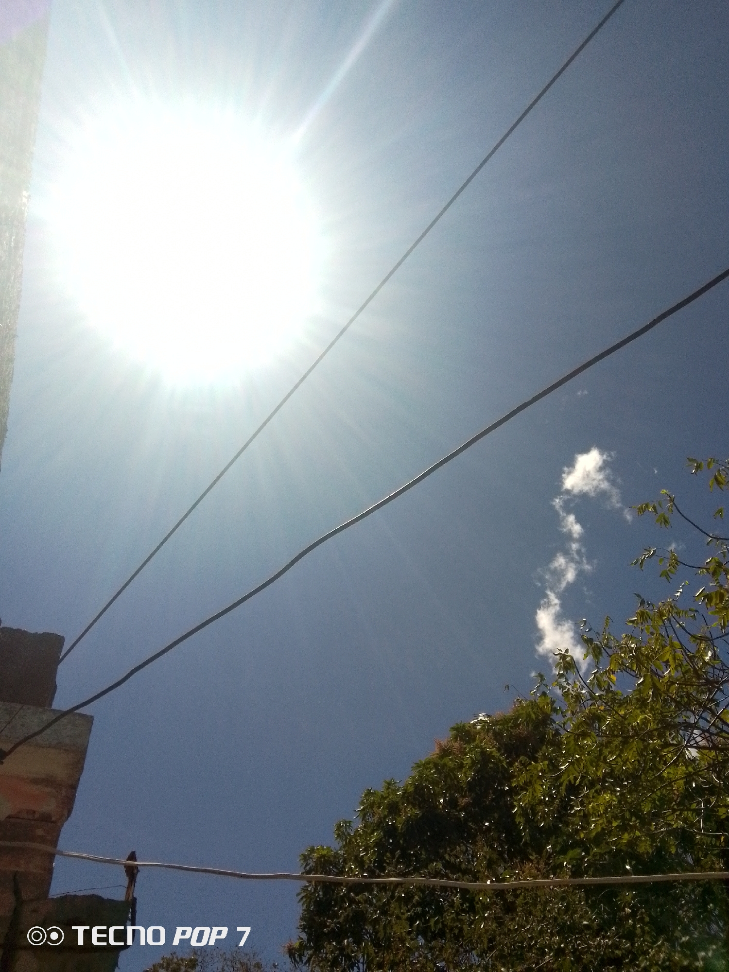 The image presents an upward-angled view of an outdoor scene, presumed to be in Altagracia, Venezuela. A bright, clear blue sky dominates the upper and central portions of the frame. A highly luminous sun is centrally positioned in the upper-left quadrant, causing significant overexposure and emitting visible rays and lens flare. Several wispy white clouds are scattered across the mid-right sky. Two dark utility lines run diagonally from the upper-left toward the mid-right. A third, thicker dark utility line spans horizontally across the lower-mid portion of the frame. Along the far left edge, a partial, weathered concrete or brick structure is visible, exhibiting exposed rebar or wiring near its top. The lower-right quadrant, extending into the bottom-middle, features the dense green foliage of a tree. The bottom-left corner of the image contains a "TECNO POP 7" watermark. No people or overt actions are depicted.