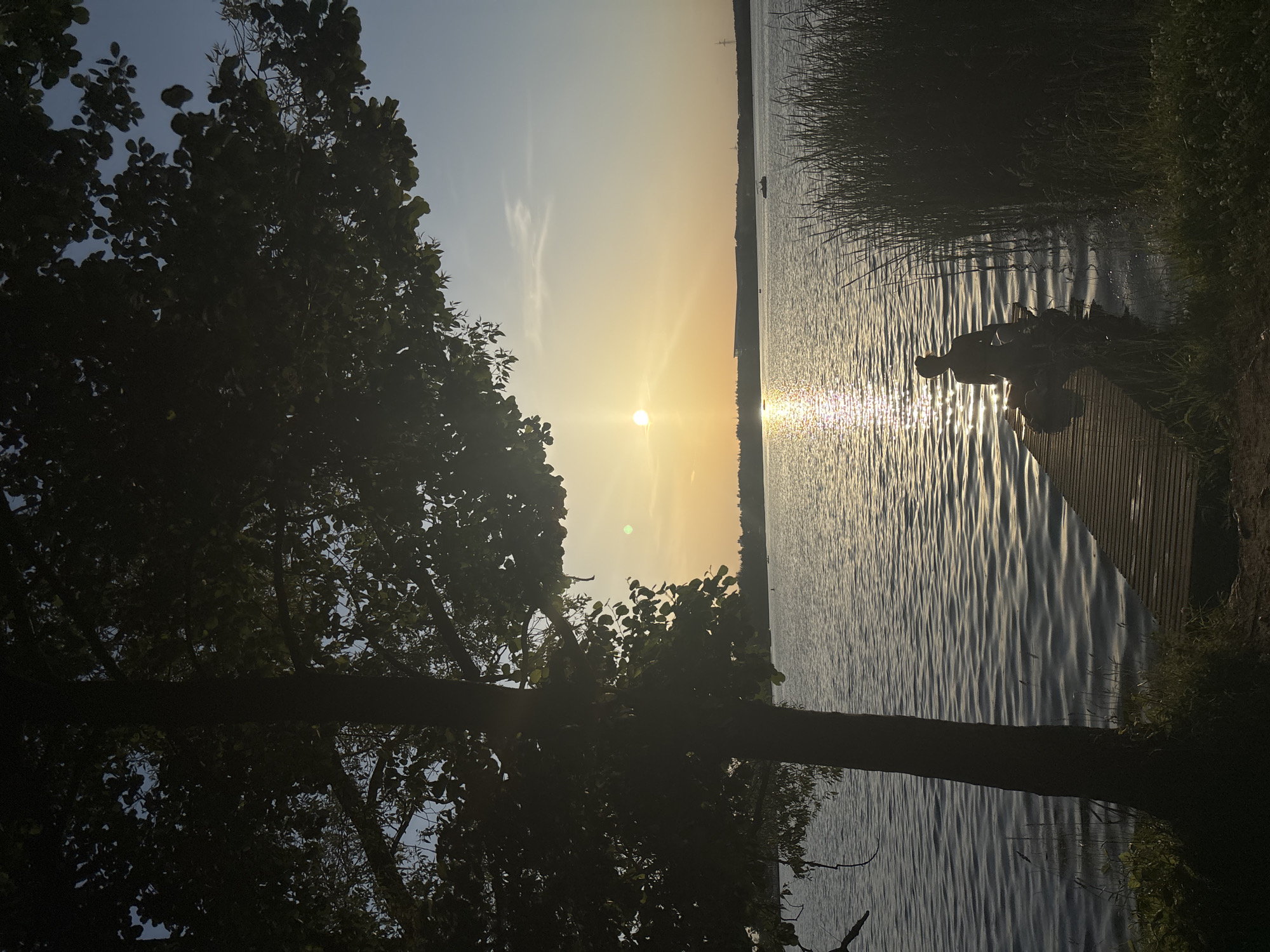 The image depicts a serene natural landscape at sunset. A large tree with dark foliage dominates the left side of the frame, its branches silhouetted against a sky transitioning from deep blue to a warm, golden hue. The sun, a bright orb near the horizon, casts a shimmering reflection across the surface of a calm body of water. On the right side of the image, a wooden pier extends into the water, and a figure, silhouetted against the bright reflection, is seated on the edge of the pier. Reeds and tall grasses line the water's edge, adding to the natural, untouched feel of the scene. The overall impression is one of peace and tranquility, likely during a warm evening. There is no visible text in the image.
