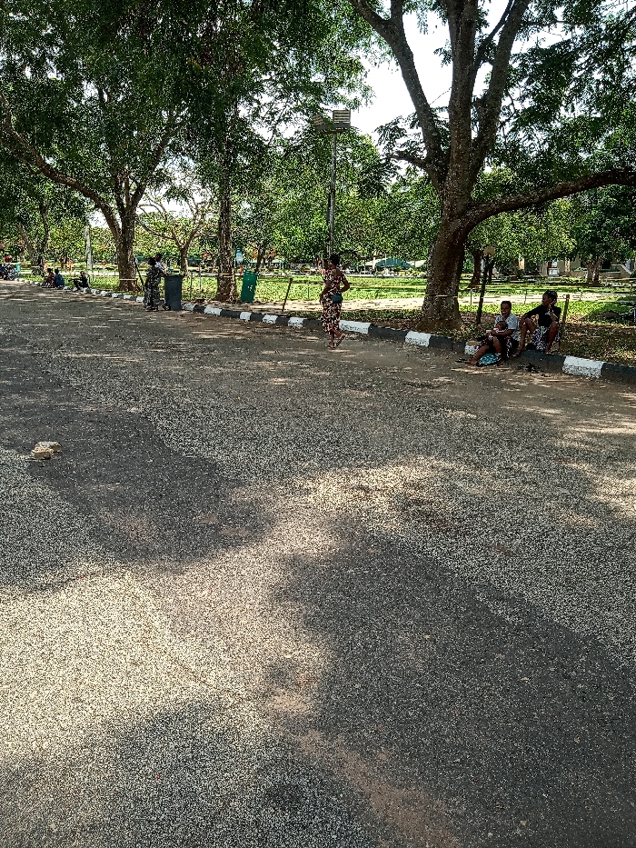The image shows a paved road with a white curb on the right side. The road is empty, but there are five people walking along the edge of the road and a group of three people sitting on the grass at the right edge of the image. There are many trees, some with leaves and some bare, on the left and right sides of the road, and the ground is covered with dry, white leaves, making the scene dusty. There is a metal light post with a lamp on top near the center of the image. In the distance, there is a building with a green roof, behind the trees. Based on the coordinates, the image depicts a scene in the city of Ota, Nigeria, near the University of Lagos.