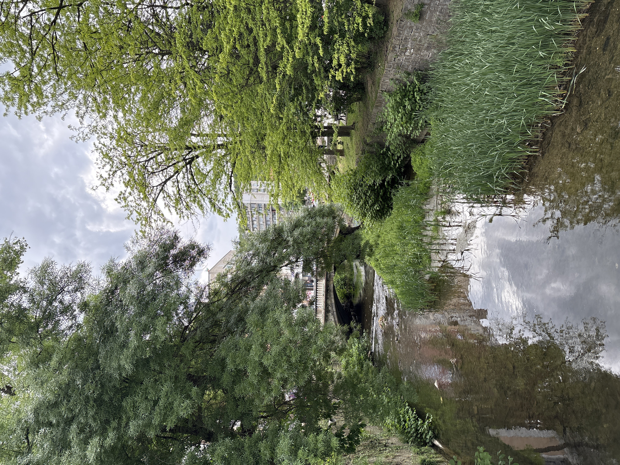 The image shows a canal in Gabrovo, Bulgaria. The canal's water reflects the sky and surrounding buildings. Lush vegetation lines the banks, including grass and trees. A bridge spans the canal in the distance. The sky is overcast. No people are visible.