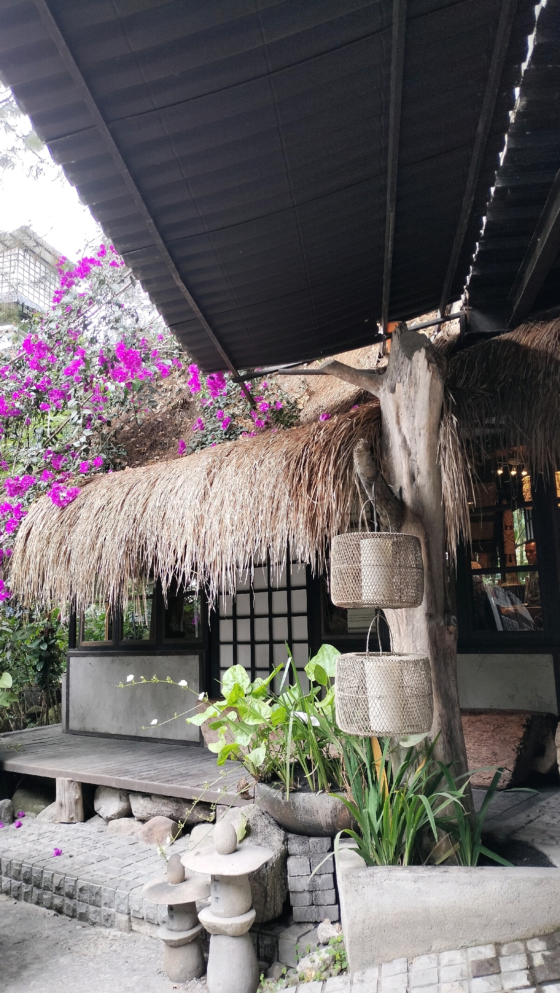 The image depicts an outdoor seating area with a rustic, thatched-roof structure. The building features a dark, corrugated metal roof extending over a straw-thatched overhang. Attached to a large, rough-hewn wooden post supporting the structure are two woven basket-like hanging lanterns, each containing a white cylindrical object. In the background, a wall with a grid pattern of dark panes is visible behind the thatched roof.
To the left of the building, vibrant pink bougainvillea flowers spill over a lush green backdrop. The seating area itself is a wooden deck elevated by stone supports. In front of the deck, a stone pathway is laid with irregular-shaped stones and smaller grey bricks. Two stacked stone ornaments, resembling miniature pagodas, stand on the stone pathway.
In the foreground, a large concrete planter holds several types of green plants, some with delicate white flowers. Another concrete planter or seating element is positioned to the right. The overall scene suggests a tranquil, possibly tropical, outdoor cafe or garden space. The lighting indicates it is daytime, likely overcast or shaded, as there are no strong shadows. The style of the building and the tropical vegetation suggest a location like Berastagi, Indonesia, as hinted. There is no visible text in the image.