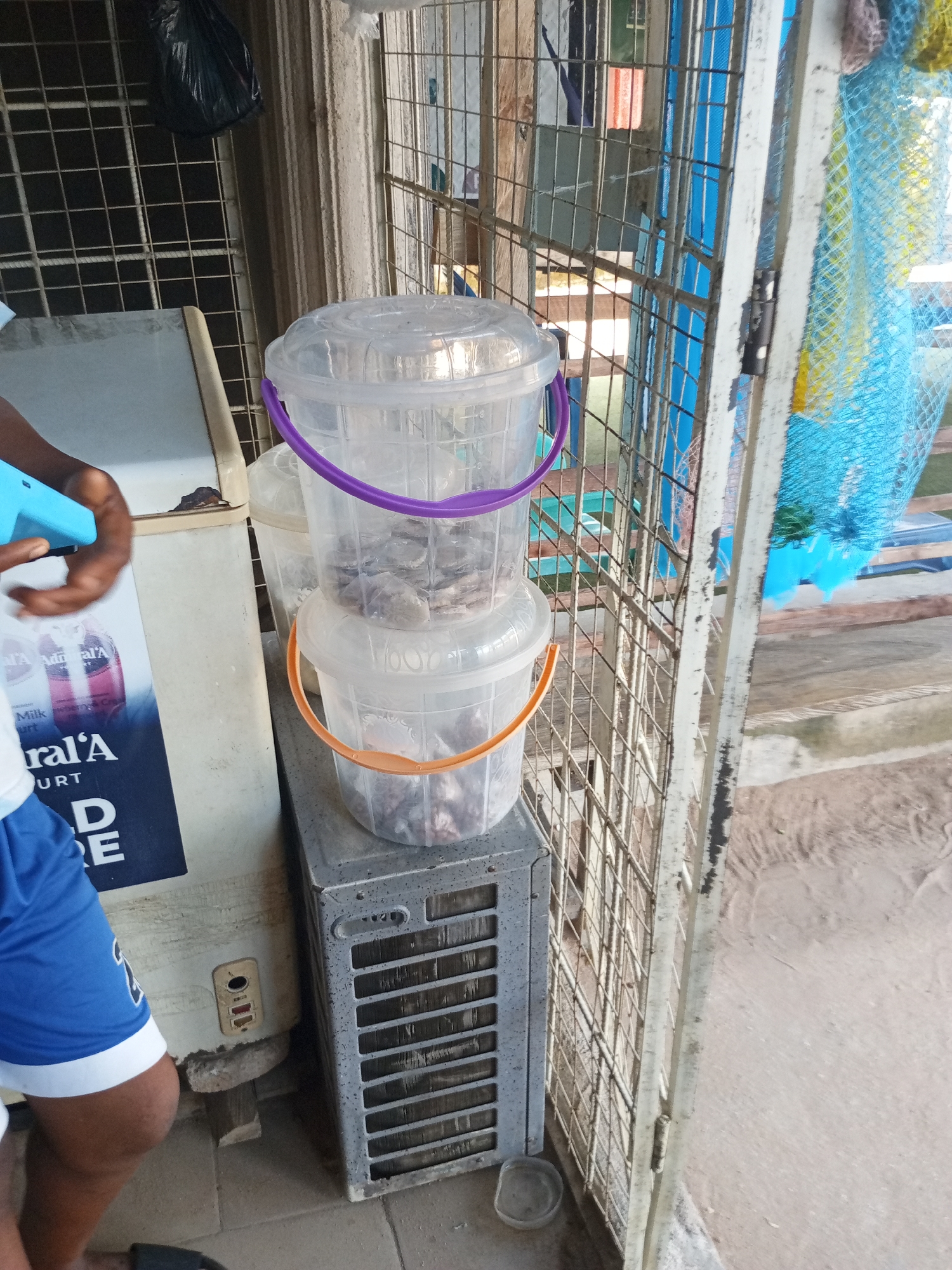 A person's left arm and part of their leg, wearing a blue and white athletic jersey, are visible on the left side of the frame. They are holding a bright blue object. The scene appears to be outdoors, likely in a market or shop, with a metal grate and a blue net visible in the background.
In the foreground, two stacked clear plastic buckets are prominent. The top bucket has a purple handle, and the bottom bucket has an orange handle. Both buckets contain a dark-colored, granular substance, possibly food items. Beneath the buckets sits a silver-colored object with a perforated grille, resembling an air conditioner unit.
To the left of the buckets is a cream-colored appliance with a black bag hanging above it on a metal grid. The appliance has some text visible on its side, including "Admiral'A" and "Milk".
The lighting suggests it is daytime. The overall impression is one of a bustling or storage area, possibly related to commerce.