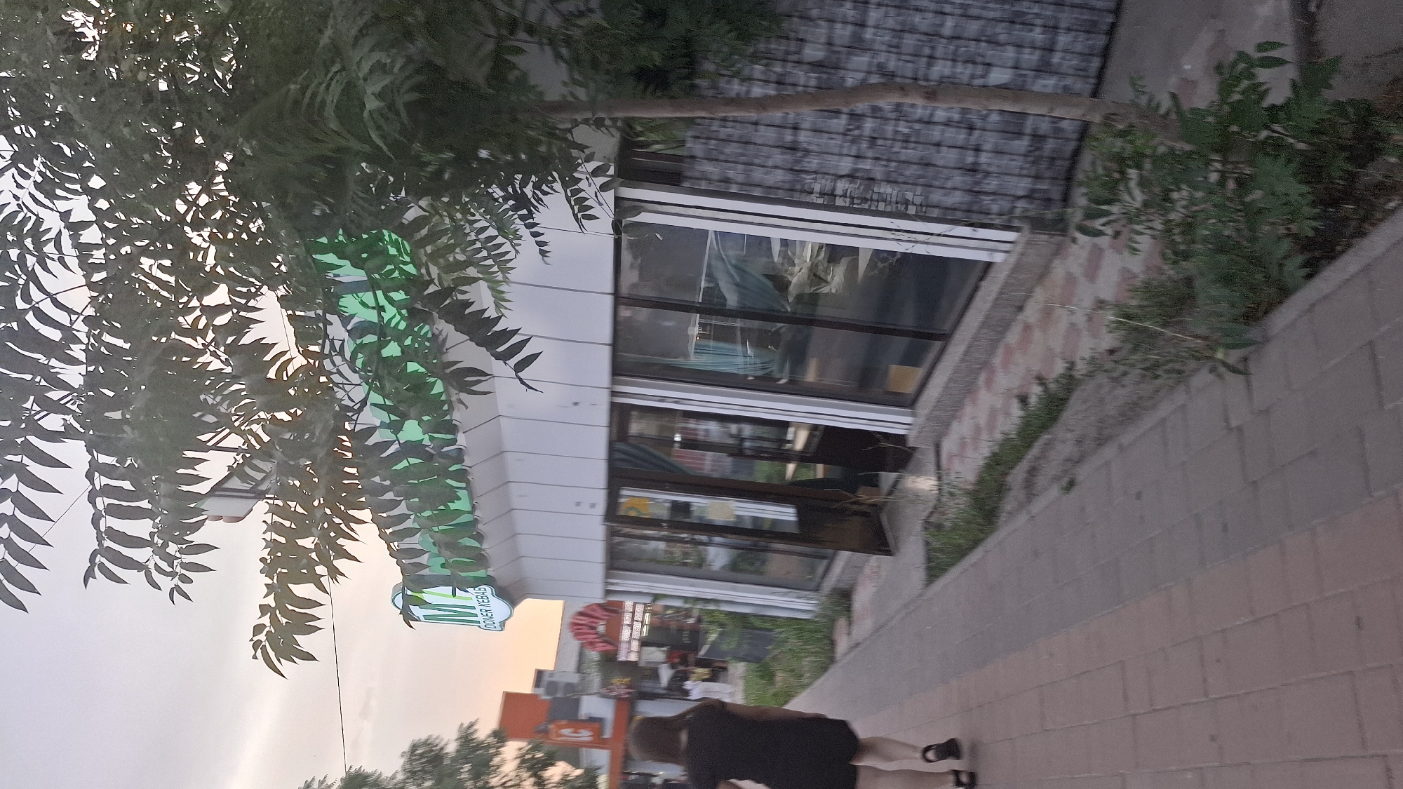The image depicts an outdoor scene in Shymkent, Kazakhstan. In the foreground, a person is walking away from the camera on a sidewalk paved with reddish-brown bricks. They are wearing a black top and black shorts. The sidewalk is bordered by a low wall constructed from grey bricks, with some vegetation growing along its top.
Behind the sidewalk and wall is a building with a modern facade, featuring large glass windows and white paneling. A tree with lush green foliage partially obscures the view of the building, its leaves casting shadows. To the left of the building, a green illuminated sign with white lettering is visible, which appears to read "DONER KEBAB".
Further into the background, other buildings and signs are visible, suggesting a commercial area. The sky is overcast, with a hint of warm light, possibly indicating dusk or dawn. The overall atmosphere is casual and everyday.