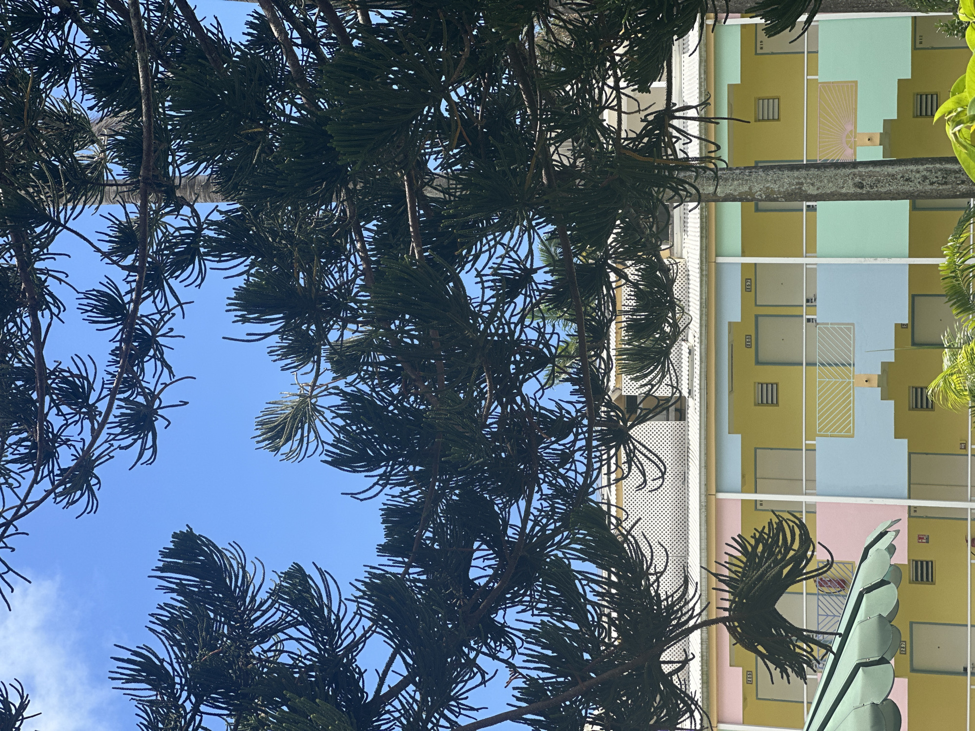 An upward-angled, medium shot reveals a vibrant, pastel-colored building partially obscured by the dark silhouettes of tree branches against a clear, blue sky. The building's facade features a geometric pattern of light yellow, blue, green, and pink blocks, with numbered units and rectangular windows. The tree branches, laden with dense needles, create a foreground frame, allowing glimpses of the bright sky. A large metal sculpture resembling a stylized plant, and palm fronds, adds a surreal element to the architectural and natural juxtaposition. The building appears to be located in Le Gosier, France, due to the distinctive architecture and tropical foliage.