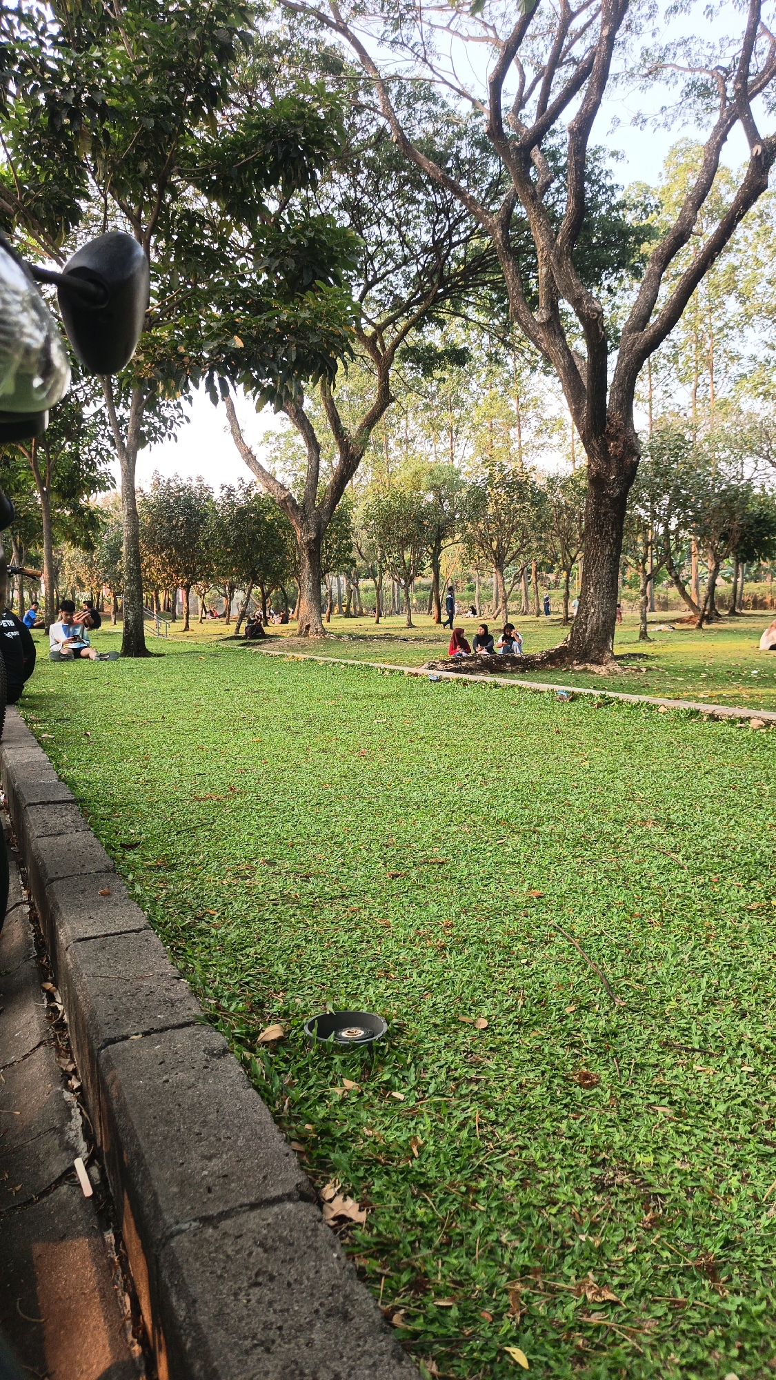 The image depicts a park in the city of Bacin, Indonesia, likely during the late afternoon or early evening, given the soft lighting. The foreground features a neatly manicured, vibrant green lawn bordered by a concrete curb and a paved walkway. To the left, a portion of a motorcycle, including a black handlebar and mirror, is visible, suggesting it is parked nearby.
Scattered across the park are various individuals and small groups of people enjoying the outdoor space. In the middle ground, a young man sits on the grass, looking down at his phone. Further back, a group of four individuals, three women wearing headscarves and one person in a light-colored top, are seated together on the ground. In the background, more people are visible in smaller groups, some sitting and others walking. The park is characterized by numerous mature trees with sprawling branches, their canopies providing dappled shade over the lawn. The trees vary in size and leaf density, creating a natural and somewhat dense woodland feel within the park. The overall impression is one of a tranquil, communal outdoor gathering space.