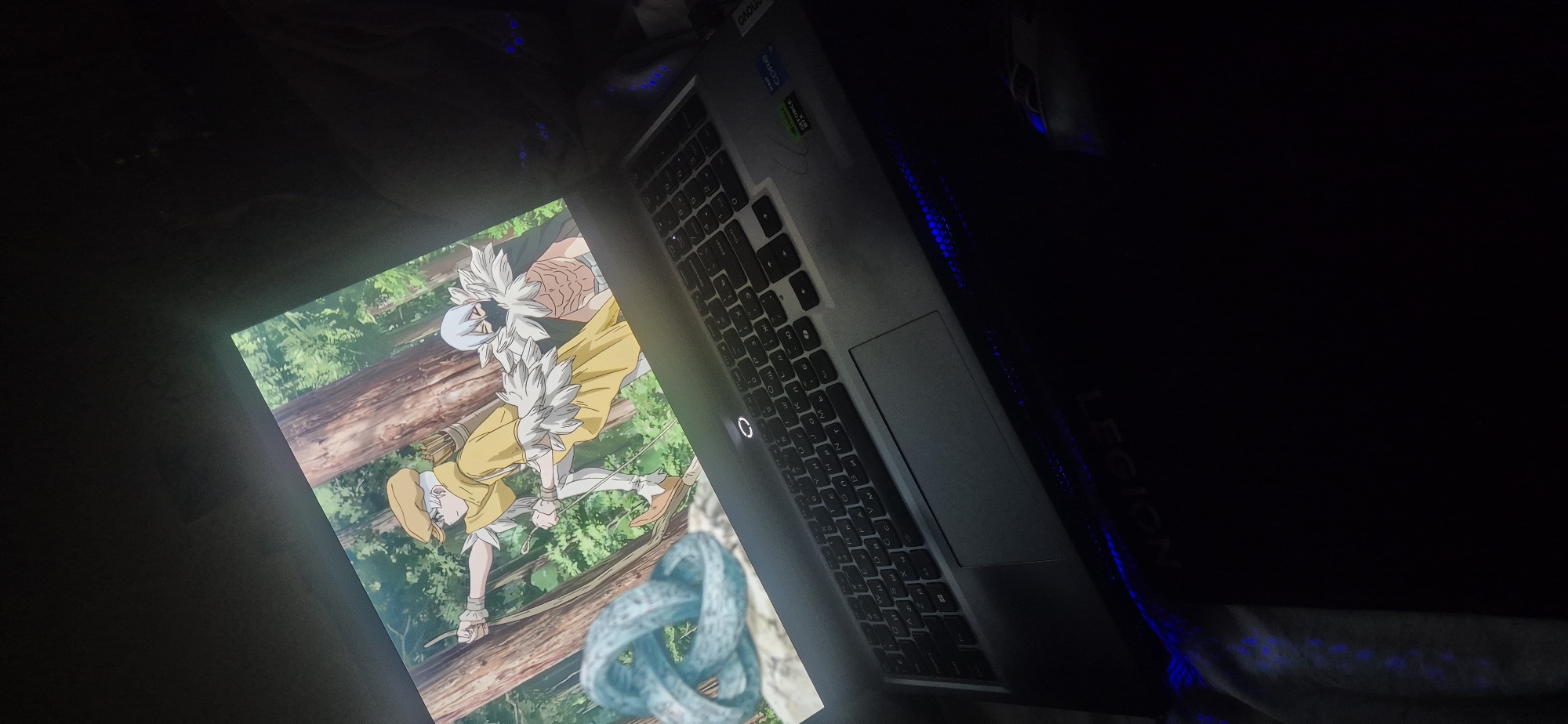 Memory