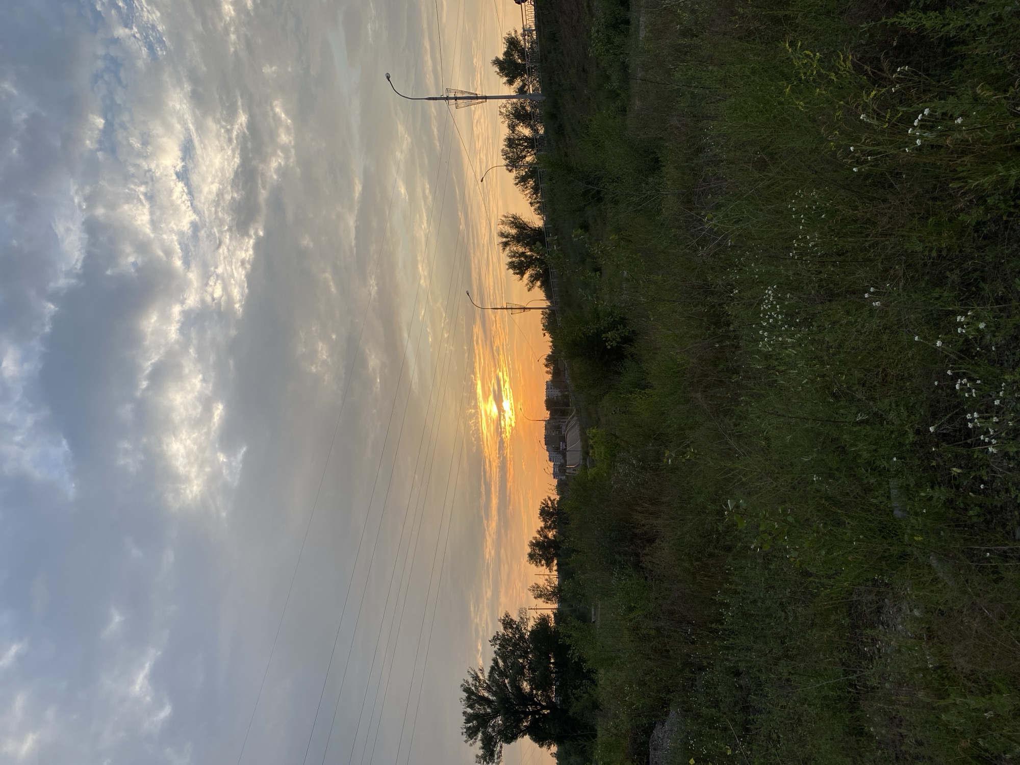 This is a photograph of a sunset over a semi-urban landscape in Minusinsk, Russia. The sun is partially obscured by clouds, casting a warm orange glow across the sky. In the foreground, tall grass and wildflowers grow wild, interspersed with rocks and debris. A dense cluster of trees is visible on the left side of the image, silhouetted against the sunset. In the middle ground, a road curves uphill, lined with streetlights and a white metal railing. Buildings can be seen in the distance on the right, and a person is walking along the elevated roadway. Several power lines crisscross the sky, adding to the sense of a developed area. The overall impression is one of nature reclaiming a somewhat neglected urban fringe during a dramatic sunset.