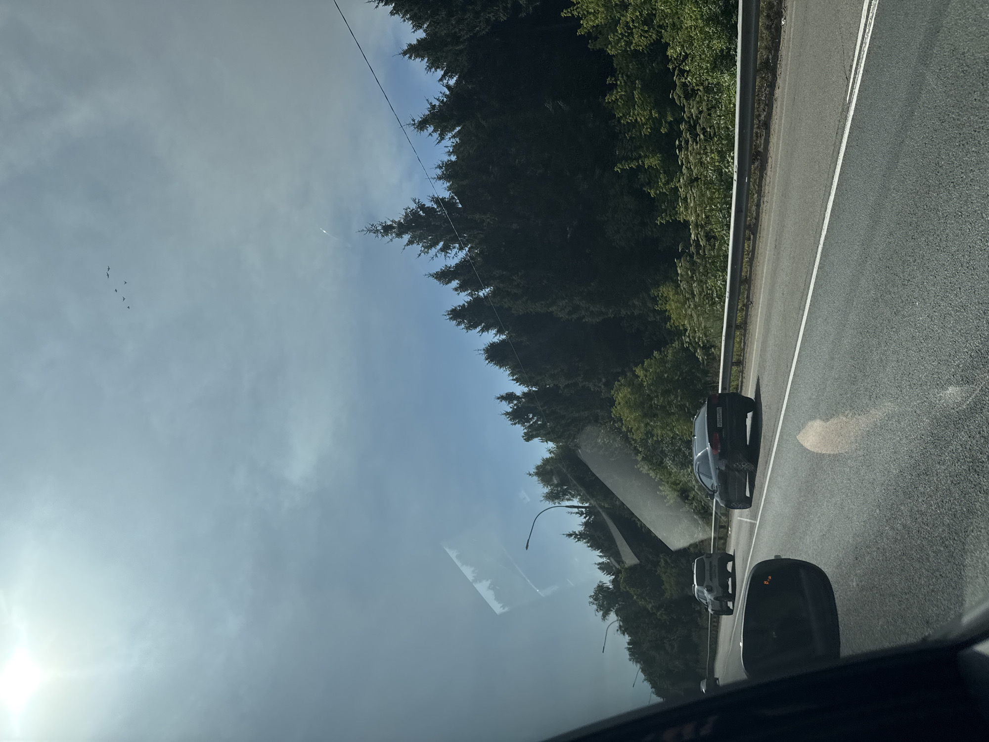 The image shows a view from inside a car driving on a highway in Domodedovo, Russia. The road is paved with asphalt and has white lane markings. On the right side of the road, there is a metal guardrail and a dense forest of evergreen trees. The sky is partly cloudy with the sun shining brightly in the upper left corner. Several cars are visible on the highway, including a black sedan and a white SUV. In the distance, a flock of birds can be seen in the sky. The overall scene depicts a typical day on a highway in a forested area.