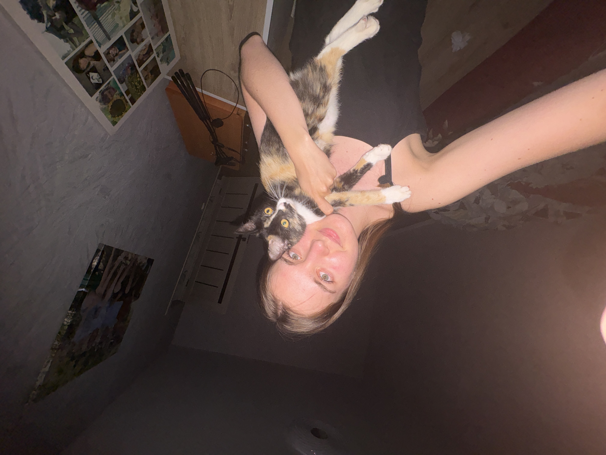 A young woman with long brown hair holds a calico cat in her arms. She is wearing a black tank top. The cat is looking towards the camera with wide yellow eyes. The background shows a wall with a framed collage of photos and another framed picture on the wall. The scene appears to be indoors, possibly in a residential setting in the city of Perm, Russia, which is located in the Prikamsky region. The lighting suggests it is nighttime or a dimly lit room.