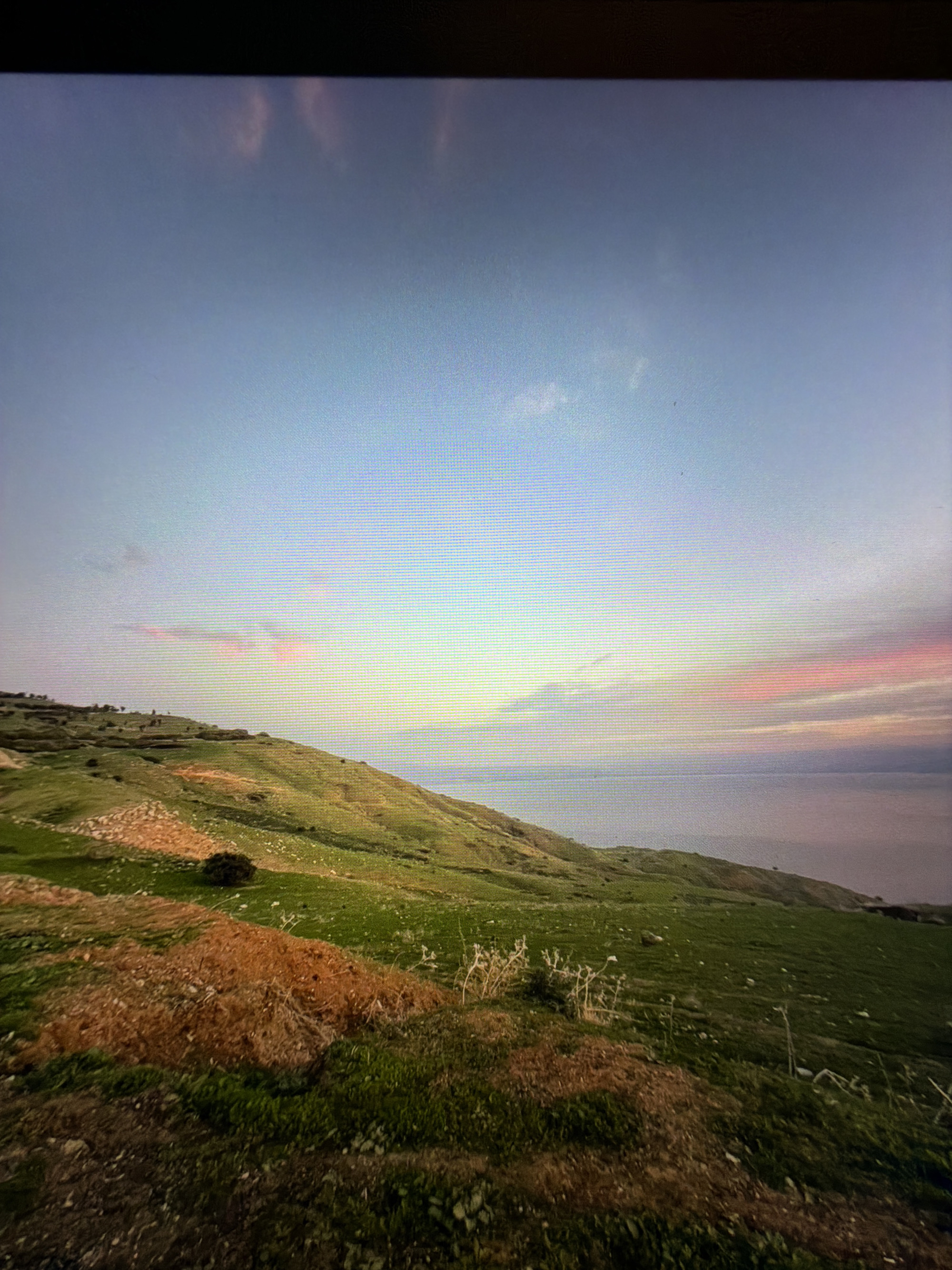 The image depicts a landscape view from the hills overlooking Kafr Yasif, Israel. The foreground features a grassy slope with patches of brown, dry earth and scattered rocks. As the terrain slopes away, it transitions into vibrant green fields that continue towards the horizon. In the distance, a body of water, likely the Mediterranean Sea, is visible, meeting the sky. The sky itself is a gradient of pale blue at the top, transitioning to soft pink and yellow hues near the horizon, indicative of either sunrise or sunset. Wispy clouds are present in the sky, reflecting the warm colors of the sunset. The overall scene is natural and serene, with no visible people or man-made structures besides what might be implied by the context of Kafr Yasif.