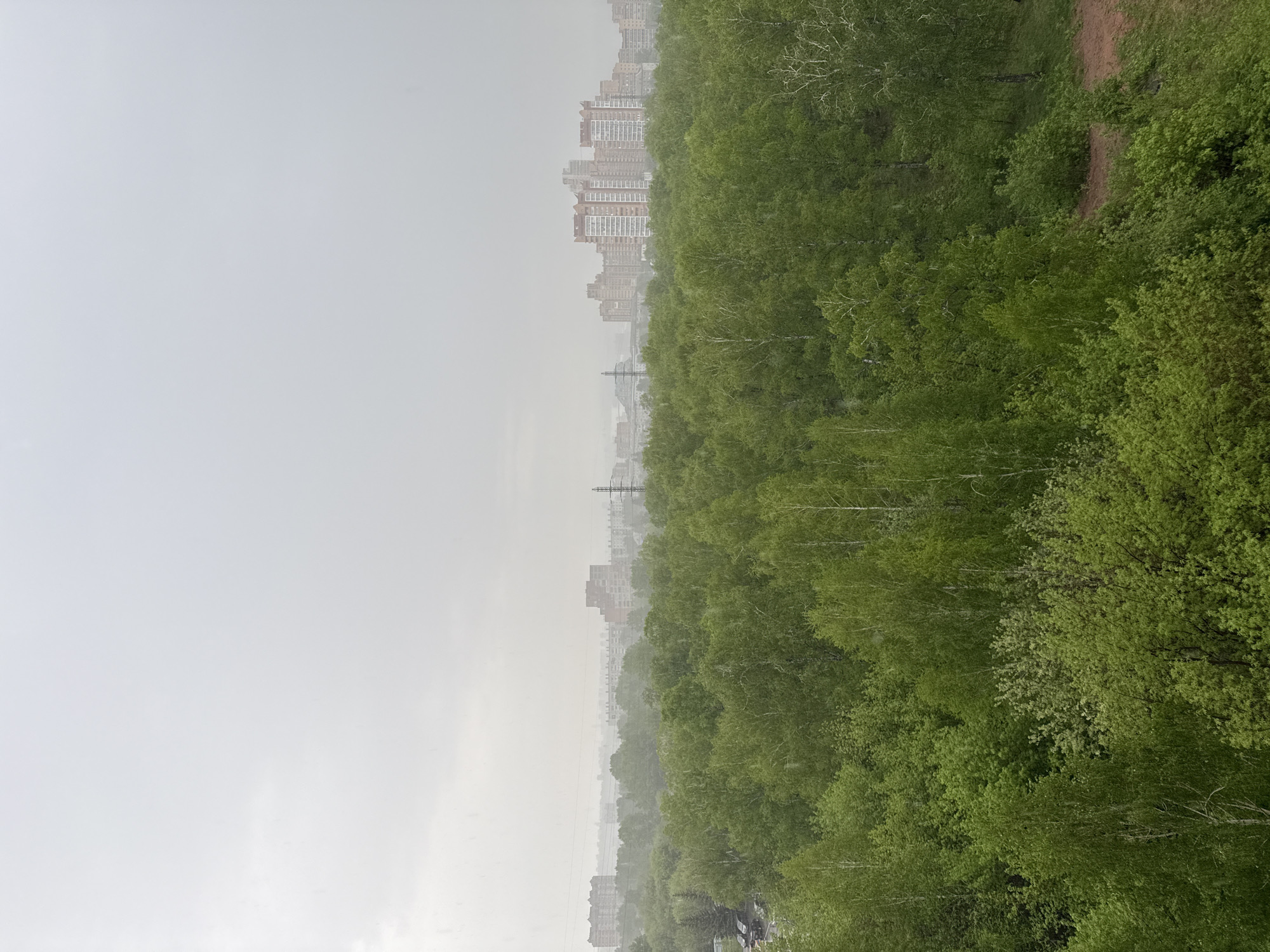 The image shows a view of Krasnoyarsk, Russia, on a rainy day. In the foreground, dense green trees and foliage extend from the lower right corner. Beyond the trees, the city skyline is visible, with a mix of residential buildings and infrastructure. The sky is overcast and gray, contributing to the somber atmosphere. Power lines can be seen extending into the distance.