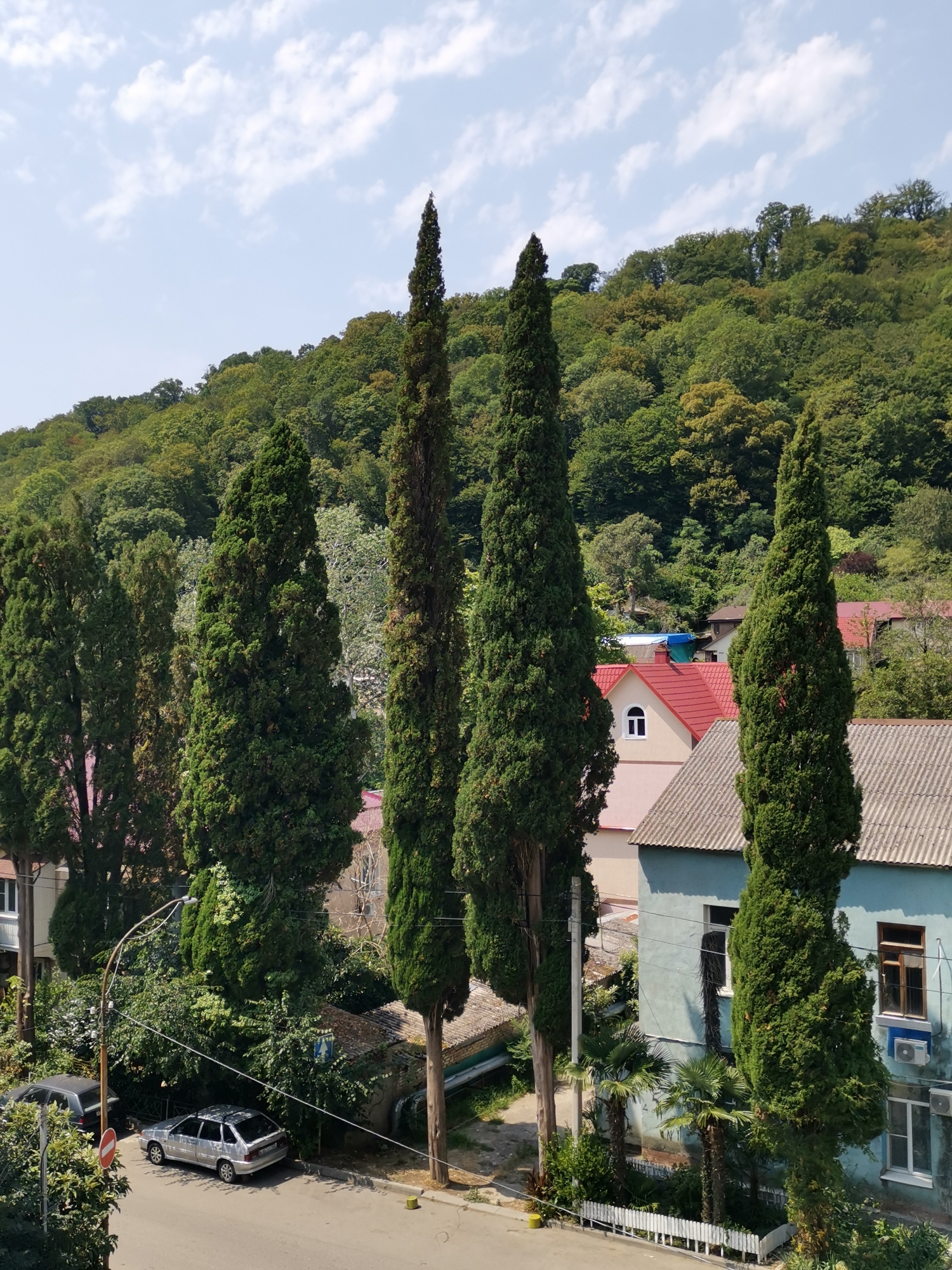 This is a high-angle, full shot of a residential street lined with tall cypress trees in Sochi, Russia. The scene is bathed in daylight under a partially cloudy sky. The street is paved and runs horizontally across the lower portion of the image. Two cars are parked along the side of the road: a dark sedan on the left and a silver hatchback in the center. A street lamp is visible on the left, and a round red and white traffic sign is mounted on a pole near the parked cars.
Behind the street and trees are several houses with red and grey roofs. Some of the houses have light-colored walls, while one on the right is painted light blue. Windows and air conditioning units are visible on the blue house. Lush green vegetation, including the cypress trees and other trees and shrubs, fills the mid-ground and extends up a forested hillside that dominates the background. The hillside is covered in dense green foliage, indicating a natural, undeveloped area. The overall impression is of a quiet, established residential area with a strong natural element from the surrounding forest and prominent trees.