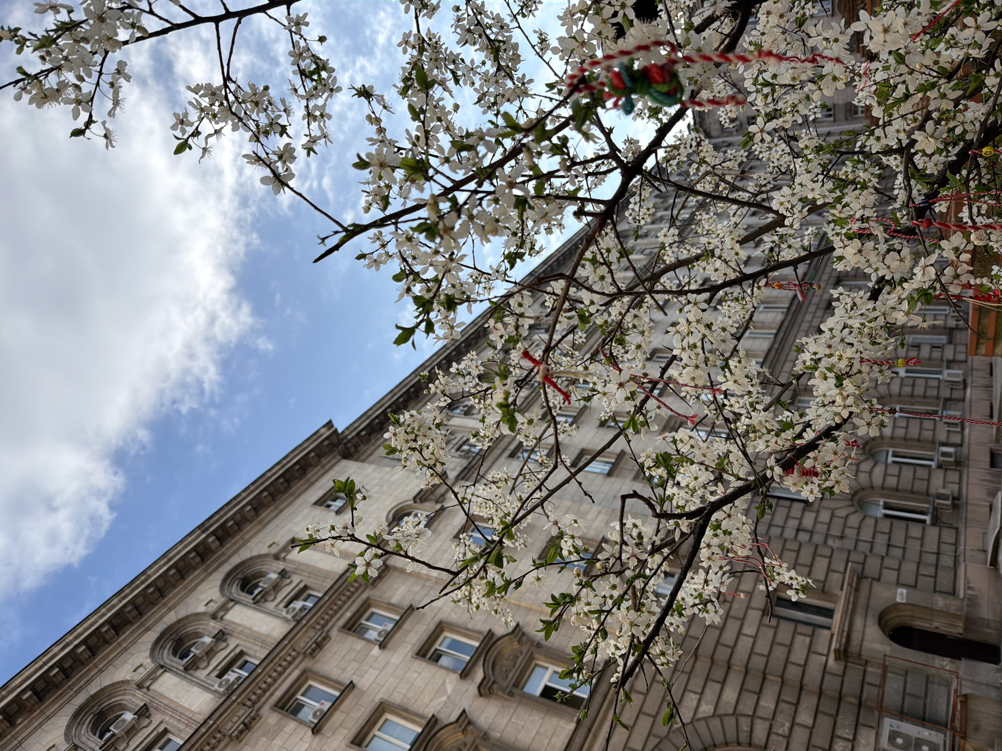 The image presents a low-angle view of a blooming tree adorned with traditional Bulgarian Martenitsi, positioned in front of a large, multi-story stone building in Sofia, Bulgaria, specifically identifiable as part of the Largo architectural complex (resembling the former Party House, now part of the National Assembly).
The building, occupying the left and lower-left portions of the frame, features a light-colored, possibly granite or limestone, facade with horizontally banded stonework. It exhibits multiple floors with regularly spaced windows, some rectangular and others with arched tops, accented by ornate cornices and decorative architectural elements. Multiple external air conditioning units are visible beneath various windows. A dark, arched entryway is partially visible at the bottom-left.
In the mid-ground and foreground, a deciduous tree is in full bloom, densely covered with numerous small white flowers and sparse light-green leaves. Numerous Martenitsi, characterized by twisted or braided red and white yarn, are tied to the tree's branches, with some displaying additional small spherical or tasseled adornments in red, green, or yellow.
The upper-right background consists of a clear blue sky interspersed with scattered white cumulus clouds. No human figures or active interactions are depicted.