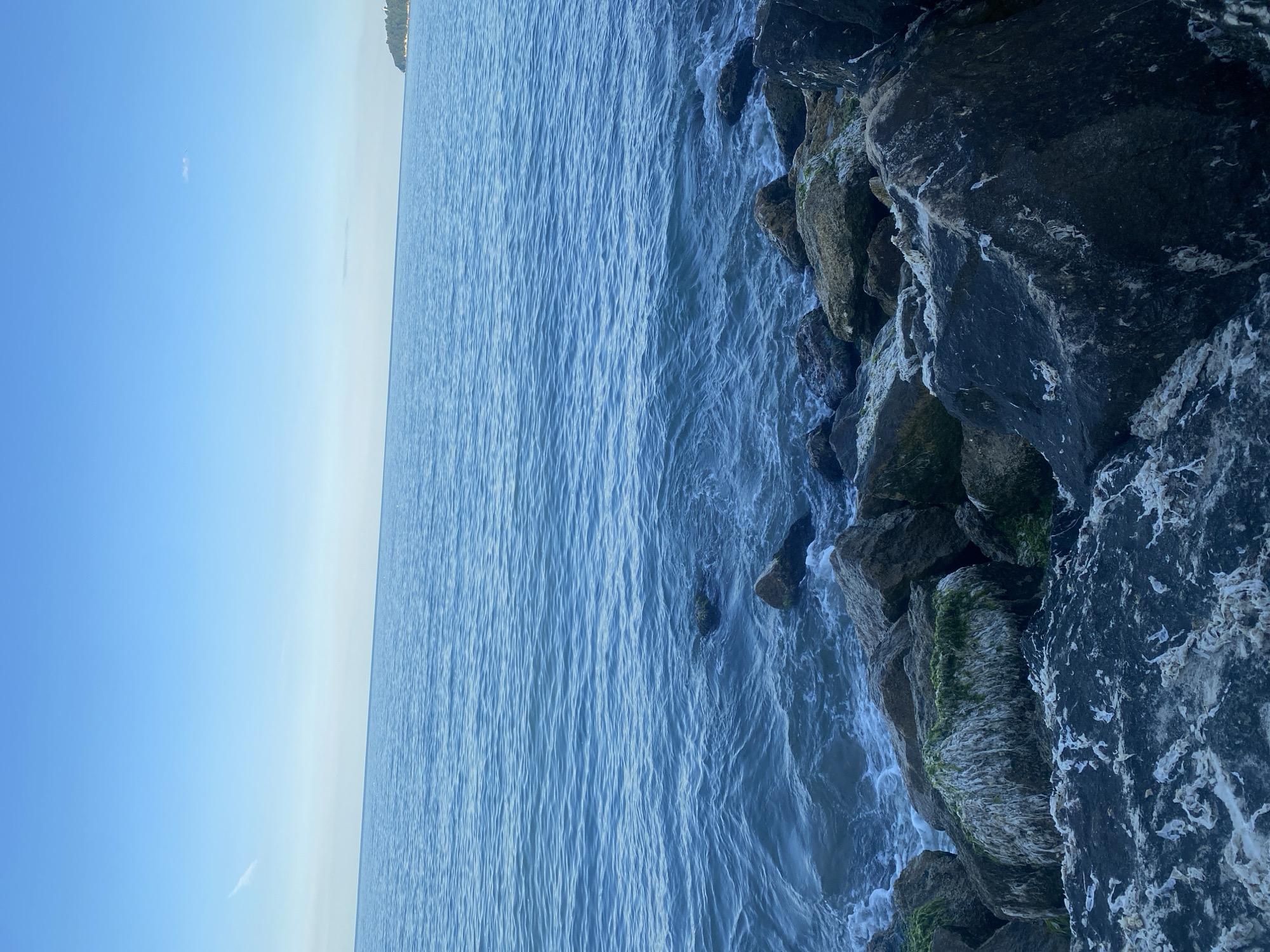 The image depicts a rocky shoreline along the Black Sea, likely in Varna, Bulgaria. The foreground is dominated by dark, large rocks covered in patches of white and greenish organic matter, possibly algae or barnacles. Beyond the rocks, the calm, blue water of the sea stretches towards the horizon under a clear, pale blue sky. A faint trace of a contrail is visible in the upper left portion of the sky. In the far distance, a sliver of a green, tree-covered coastline is visible on the right, with a small structure atop it. The scene is natural and devoid of human presence or activity.
