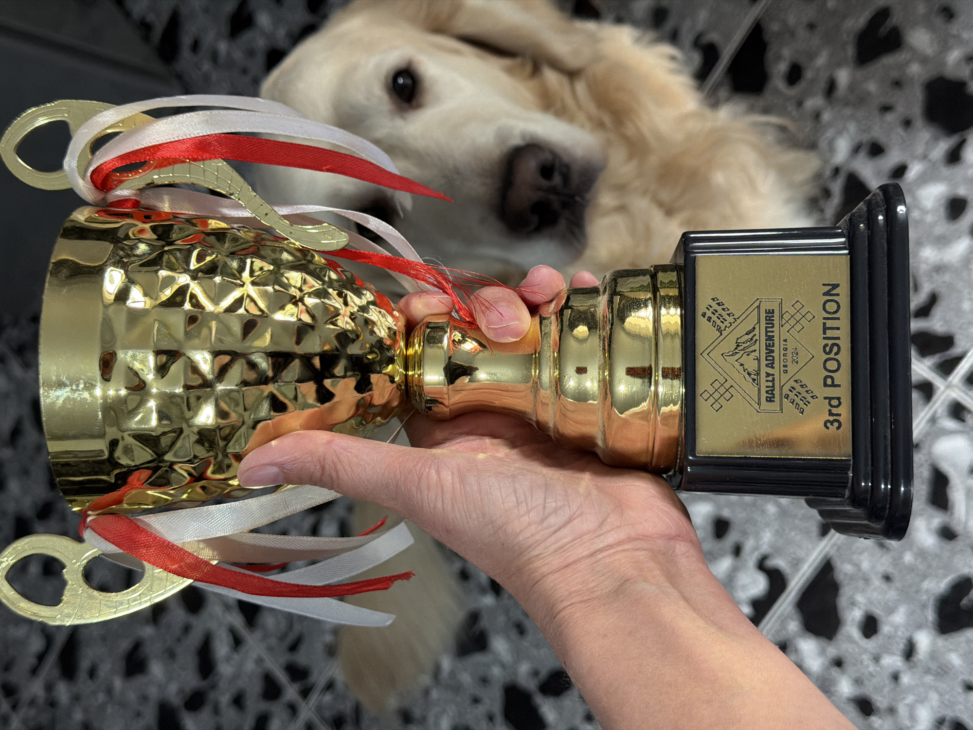 A person holds a gold-colored trophy with red, white, and gold ribbons attached. The trophy's base is black, with a gold-colored plaque indicating "3rd POSITION" and "RALLY ADVENTURE GEORGIA 2024". A blurred golden retriever is in the background. The setting appears to be indoors on a patterned tile floor. There is no clear reference to Tbilisi, Georgia in the visual data.