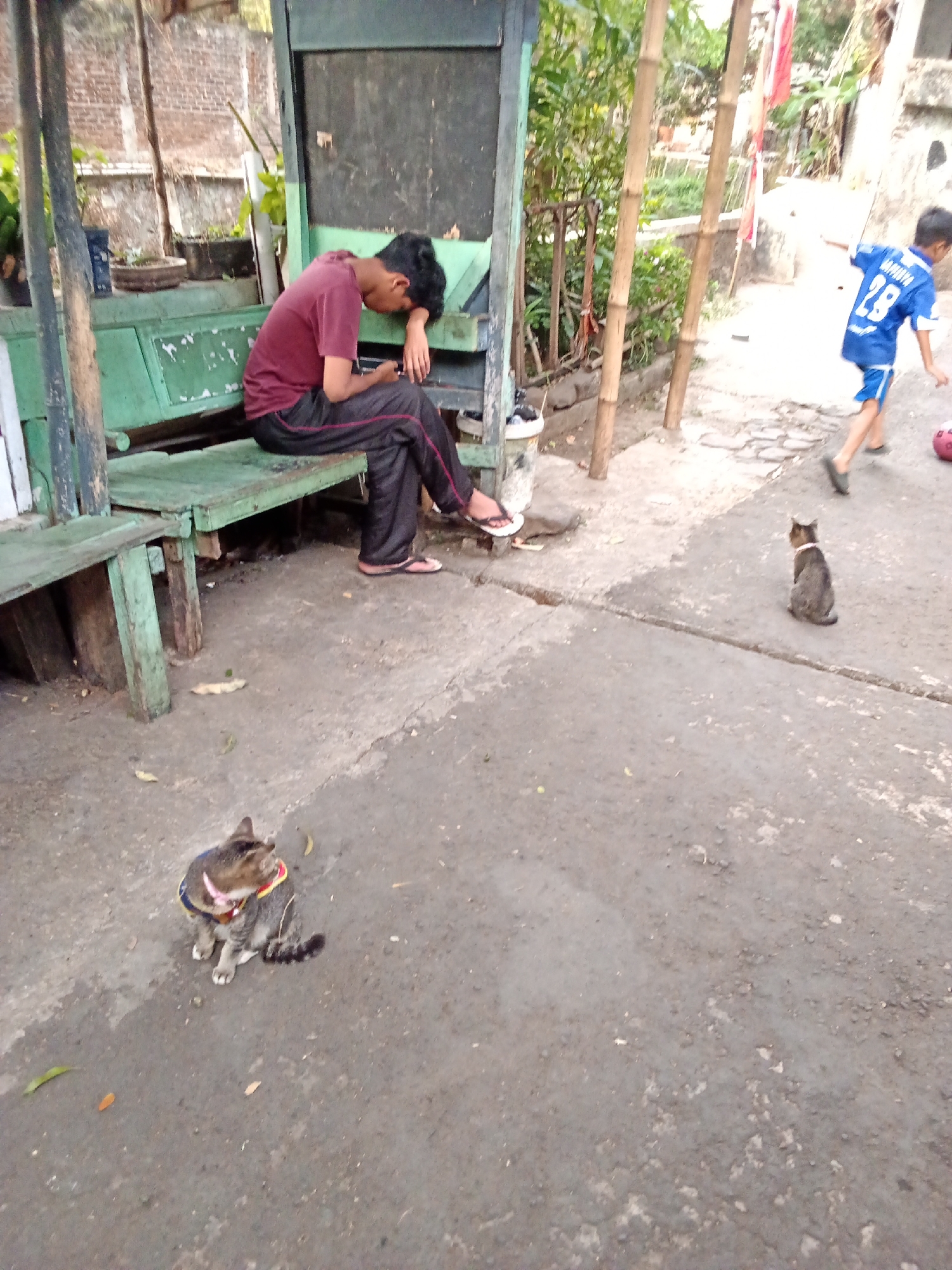 A young man is slumped on a green wooden bench, his head resting on his arm as he looks at his phone. He is wearing a maroon t-shirt and black pants. To his right, a second boy, wearing a blue jersey with the number 28 and blue shorts, is partially visible in motion, suggesting he is playing or running. In the foreground, a tabby cat with a blue and yellow collar sits on the paved ground. Another cat, a smaller tabby, is visible further back in the mid-ground. The scene appears to be an outdoor public space, possibly a park or a side street, with a weathered brick wall and bamboo poles in the background. The ground is a mix of concrete and asphalt, with scattered leaves. The overall impression is one of a casual, possibly slightly neglected urban environment.