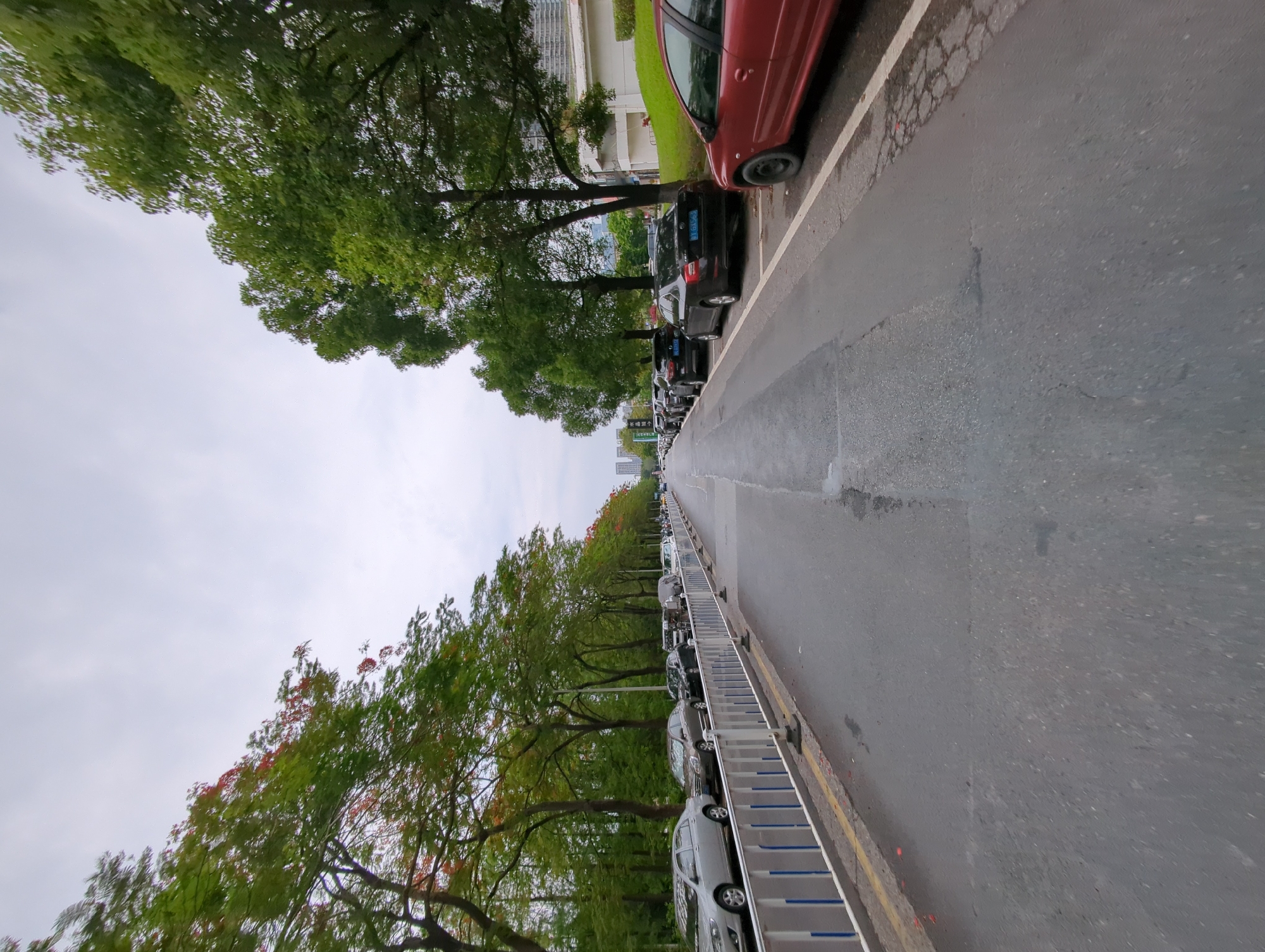 The image depicts a street in Shunde District, China, lined with parked cars and trees. The road surface is wet and appears to be made of asphalt. A line of vehicles is parked along the right side of the street, with a red car prominent at the front. On the left side, trees with green and some red foliage create a canopy effect. A barrier, possibly for pedestrian safety, runs alongside the parked cars. The sky is overcast, suggesting it might have recently rained or is about to. The background features buildings in the distance.