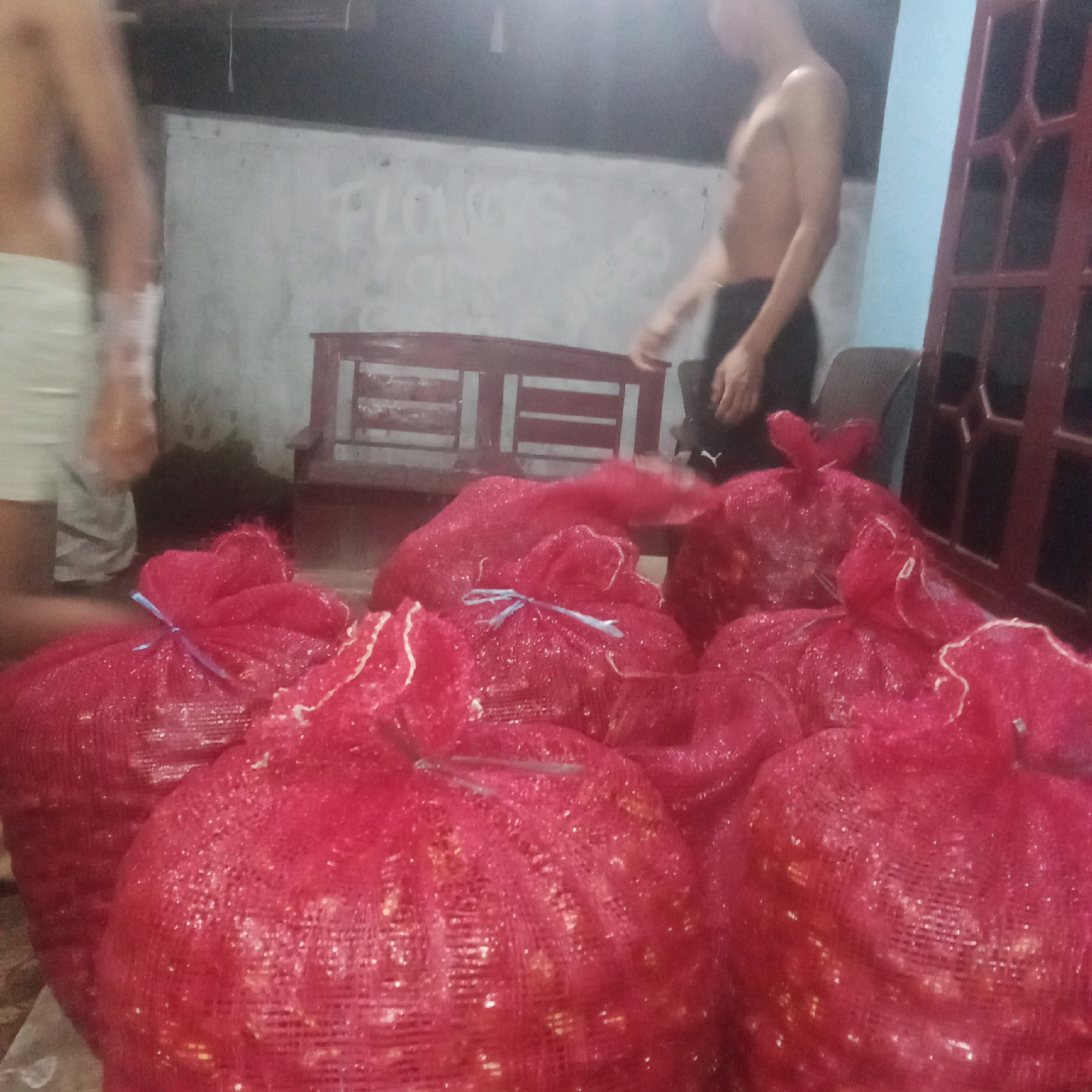 In an indoor, dimly lit space, possibly a warehouse or storage area, in Karawang, Indonesia, several large, red mesh bags filled with produce are prominently displayed. The bags, tied with blue string, are clustered together, with some in the foreground and others further back. The texture of the mesh is visible, allowing glimpses of the contents within.
To the left, a person is partially visible from the waist down, wearing white shorts. Their stance is relaxed, with one arm extended towards the bags.
In the background, another person, a male, is standing. He is shirtless and wearing dark shorts with a white logo. His right arm is bent at the elbow, and his hand is near his hip. He appears to be looking towards the bags.
Behind the people and the bags, a light-colored wall with faint markings, possibly graffiti or writing, is visible. A red wooden bench with slatted seating is positioned against the wall. To the far right, a portion of a dark red, possibly wooden, door frame with a lattice design is visible. The floor is not clearly discernible due to the focus on the bags. The overall impression is one of preparation or storage of goods in a rustic setting.