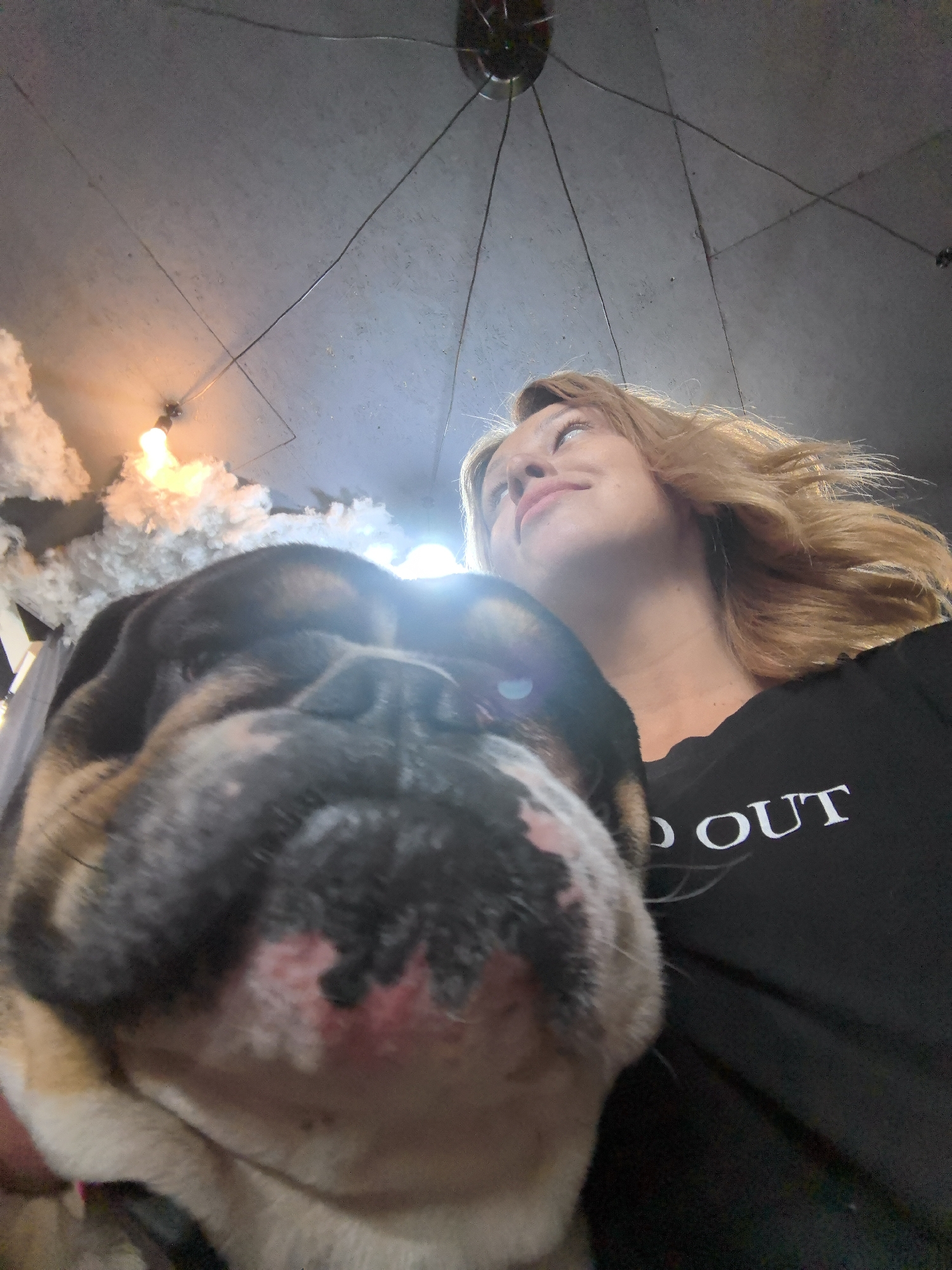 A low-angle photograph captures a woman and a bulldog. The woman looks upwards with a slight smile, while the bulldog’s face is prominently displayed in the foreground. The woman wears a black shirt with the partially visible text "OUT." Above them, a ceiling is visible, featuring light fixtures and what appears to be decorative cloud-like elements. The location is possibly in Noviy, Russia.
