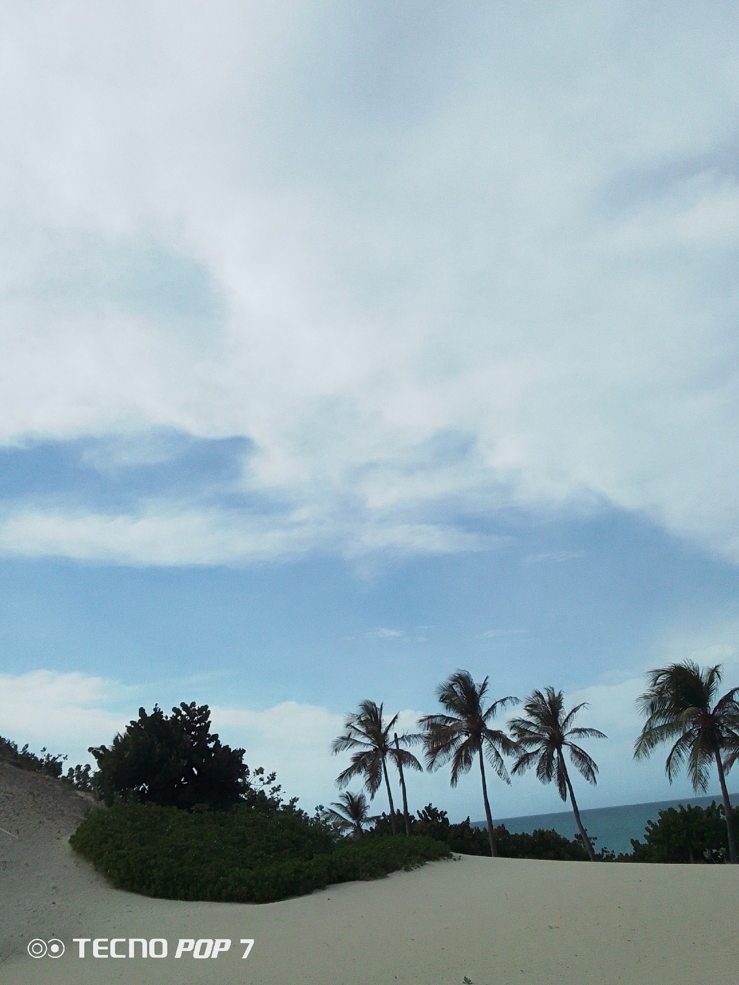The image depicts a coastal scene in Pedro González, Venezuela. A sandy dune dominates the foreground, gradually rising to a crest covered with low-lying green vegetation and scattered trees. Behind this dune, several tall palm trees rise into the sky. The ocean can be seen in the background, behind the palms. The sky is partially cloudy, with patches of blue visible. The horizon is relatively straight. The words "Tecno Pop 7" are printed in the lower left corner of the frame.