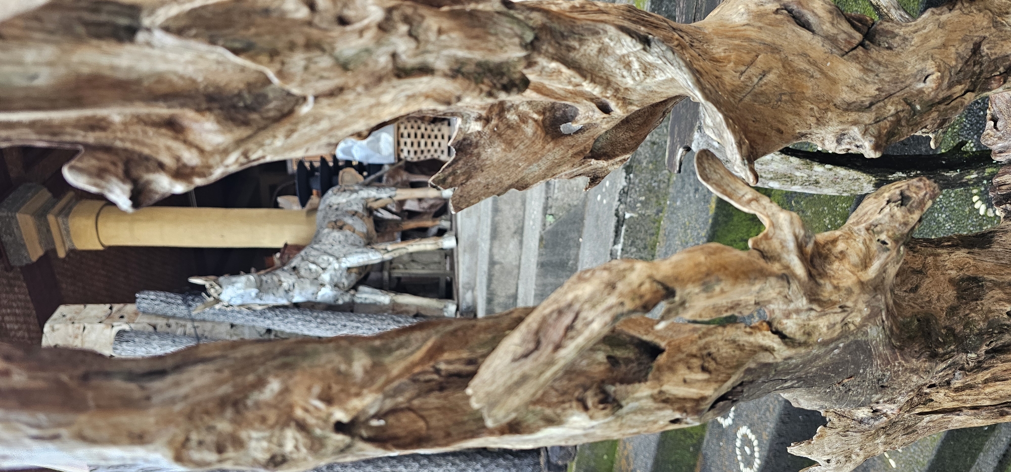 The image shows a close-up view of wooden objects, possibly driftwood, arranged in a decorative manner. Behind the wooden pieces, there's a glimpse of a structure, including what appears to be a bamboo or wooden pole, part of a woven object, and other objects partially obscured by the driftwood. Further back, there's a concrete stairway. The background also shows green vegetation, likely moss or algae. The scene appears to be located outdoors in a damp or humid environment. Based on the given information, the location is likely within the Ubud District, Indonesia, which is known for its lush landscapes and cultural artistry.