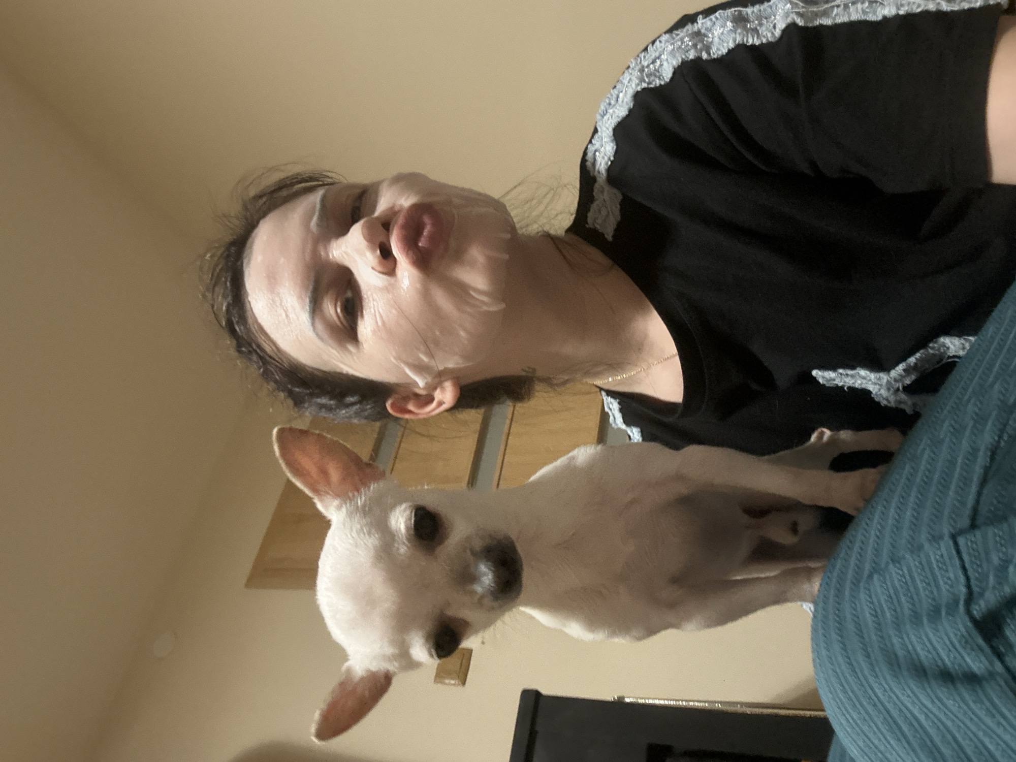 A low-angle shot depicts a person wearing a facial mask and a black shirt with silver trim. The person is pursing their lips. A small, white dog with large ears is positioned below the person. The background consists of a tan wall and a dark object, possibly a piece of furniture, is located in the bottom part of the image. The location, Chubra, Bulgaria, cannot be verified from the image.