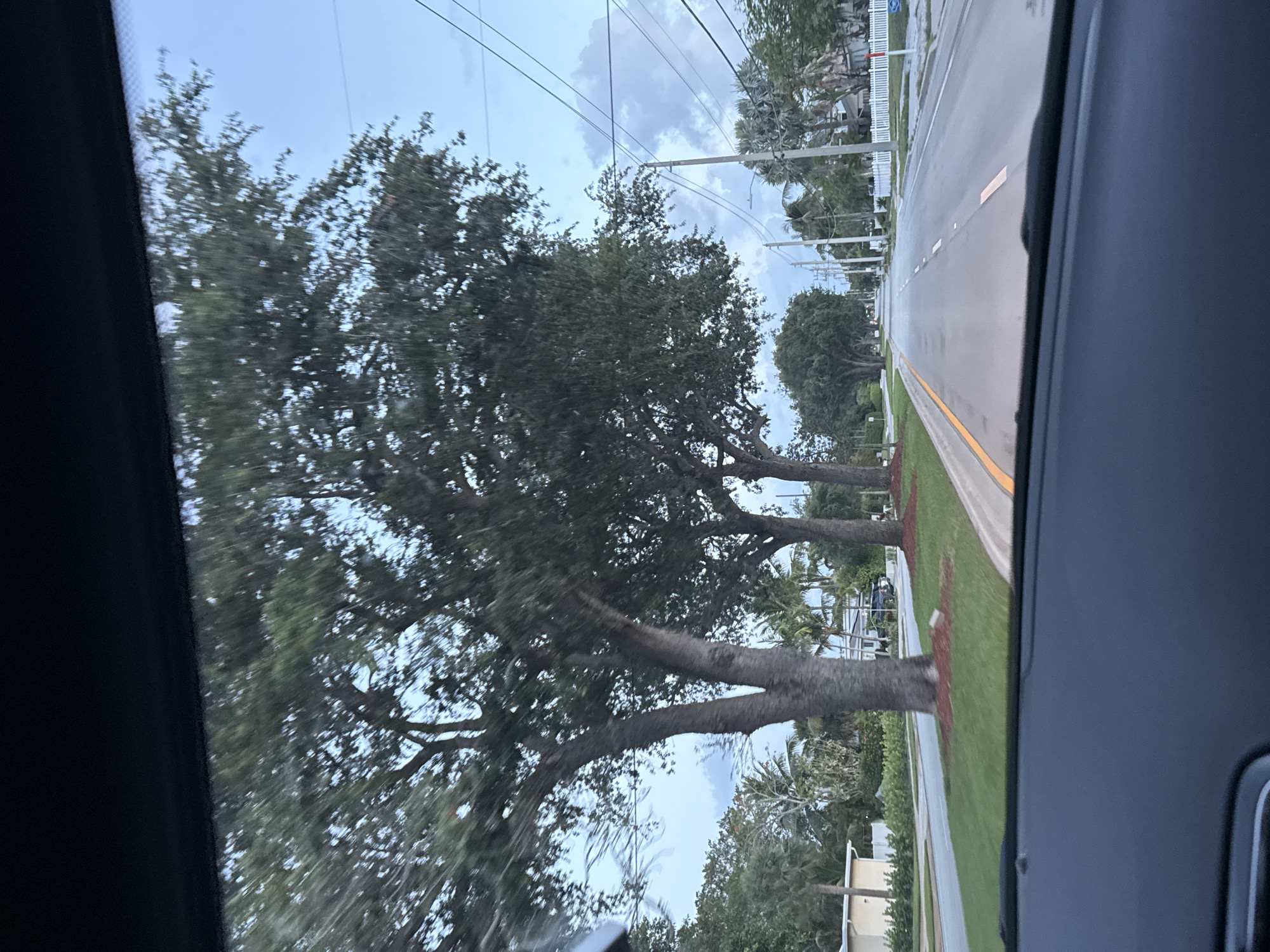 A slightly blurry image shows a view from inside a vehicle moving down a paved road lined with mature trees. A yellow line marks the edge of the road. Green grass and landscaping are visible adjacent to the road on the right. Palm trees and white fences line the street in the distance. Overhead power lines are present. Based on visual characteristics, the scene is consistent with a street in a residential area of Boca Raton, Florida, United States.