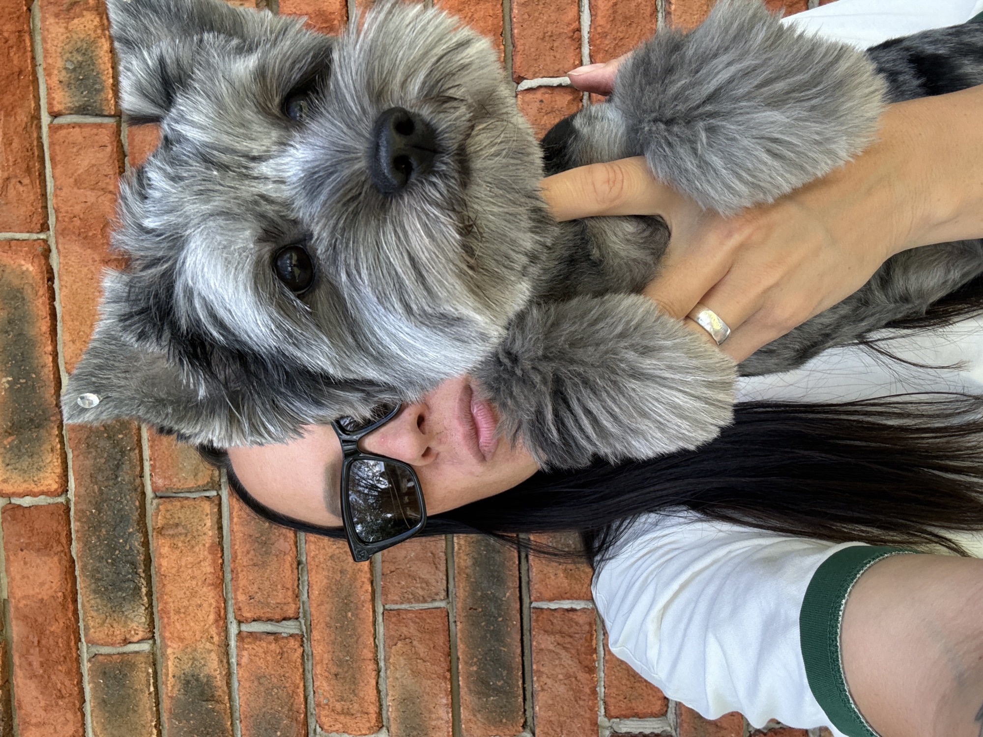The media file features a close-up, selfie-style shot of a person holding a small, grey schnauzer-type dog. The person is wearing black-rimmed sunglasses and a white t-shirt with a dark green trim around the collar. A silver ring is visible on the person's left hand, which is holding the dog. The dog's face is prominent in the foreground, with its grey fur and dark eyes clearly visible. The background consists of a brick wall with visible mortar lines. The lighting suggests it is daytime. The overall mood appears relaxed and affectionate, as indicated by the person holding the dog close. No text is visible in the image. The location context provided is Chaikovsky, Russia.