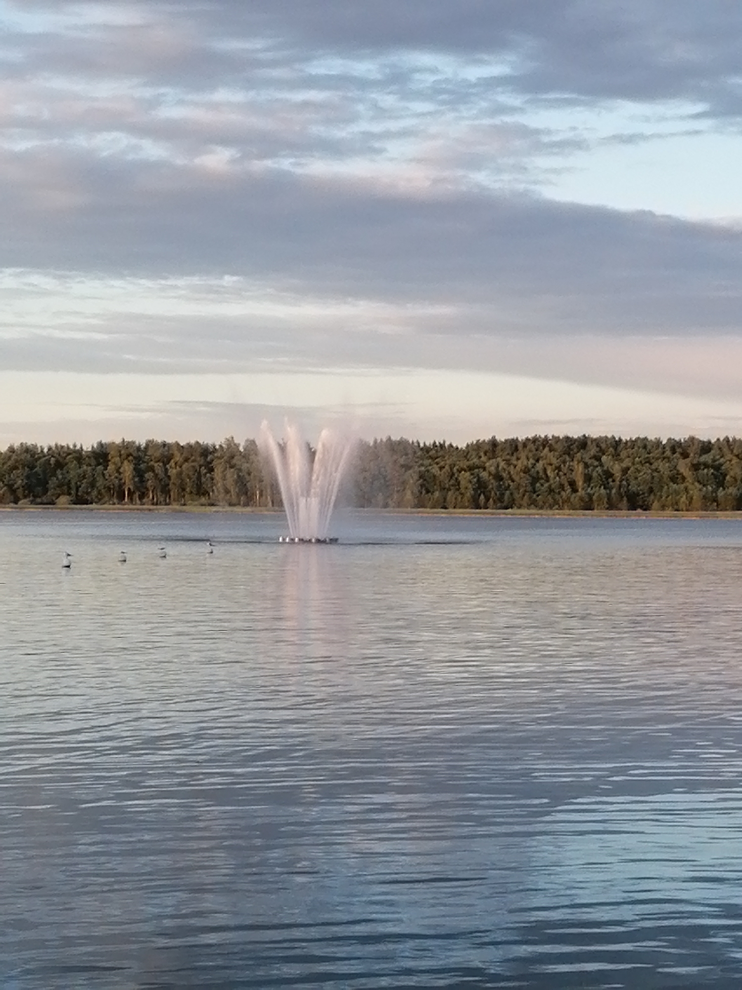 The image shows a tranquil lake with a fountain in the distance. The fountain is surrounded by a cluster of birds. Several other birds are scattered across the lake's surface. A dense line of trees forms the shoreline in the background. The sky above is cloudy, with a mix of gray and lighter shades. The water is calm, with subtle ripples reflecting the sky. The scene suggests a peaceful natural environment within or near the city of Daugavpils, Latvia, possibly a park or a recreational area.
