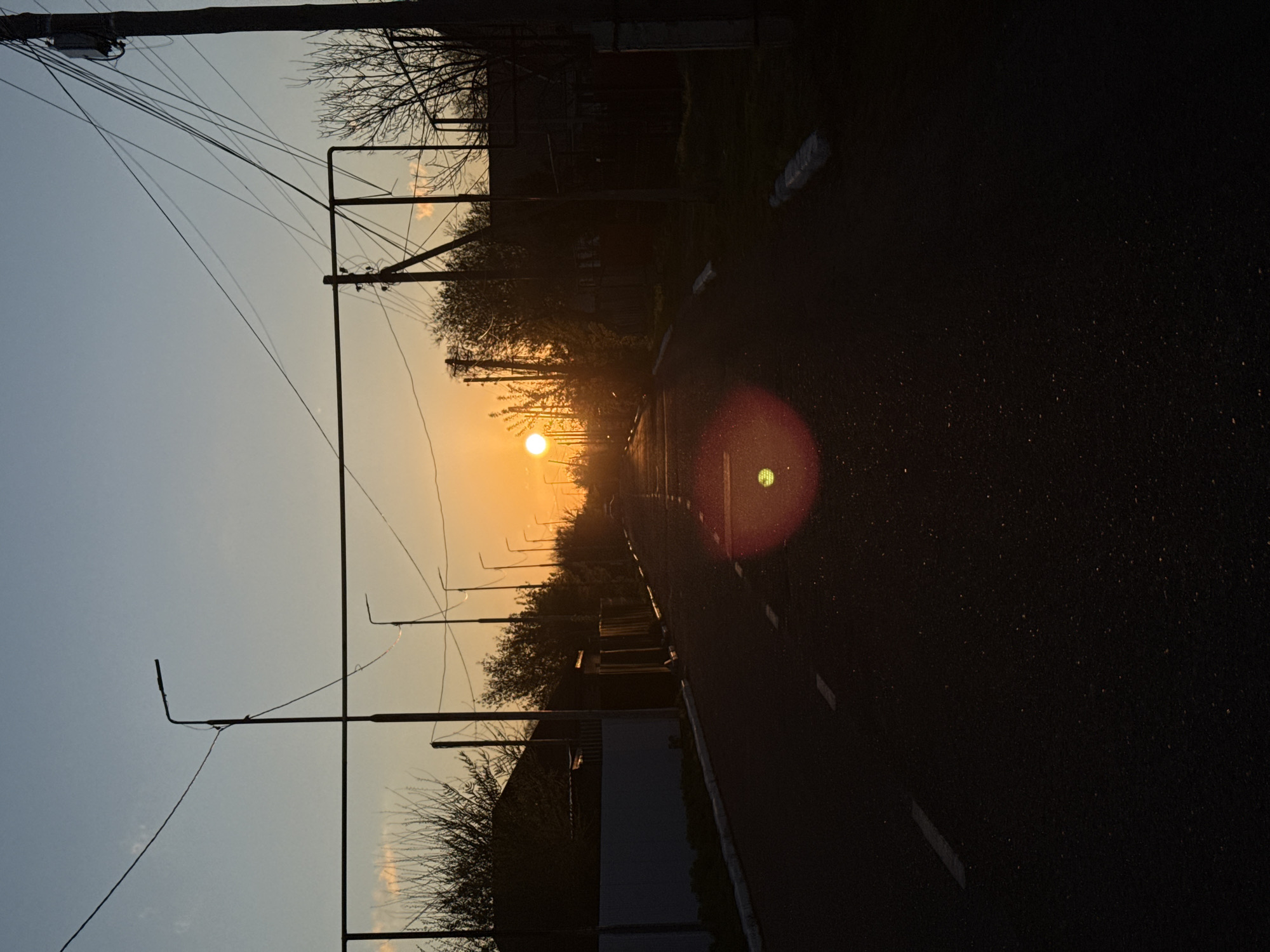The image, taken in Aksay, Kazakhstan, is oriented vertically and depicts a long, straight road stretching into the distance during sunset. The sun, appearing as a bright orange sphere, is positioned low on the horizon at the end of the road, casting a warm golden and orange glow across the sky, which transitions to a pale blue-grey further overhead.
The foreground and the right side of the road are largely in shadow, appearing very dark, with faint white dashed road markings visible along its length. Utility poles with an intricate network of crisscrossing power lines and L-shaped streetlights are silhouetted against the bright sky, lining both sides of the road. Bare-branched trees and bushes also form dark silhouettes along the roadside.
A distinct circular lens flare, showing red and green coloration, is visible in the mid-right area of the image, a result of the direct sunlight. Small, scattered bright specks, possibly dust or atmospheric particles, are sparsely visible across the darker areas of the road. A white plastic bottle can be seen on the shadowed roadside in the mid-ground. There are no people or visible text in the scene. The overall impression is that of a serene and quiet end-of-day landscape.