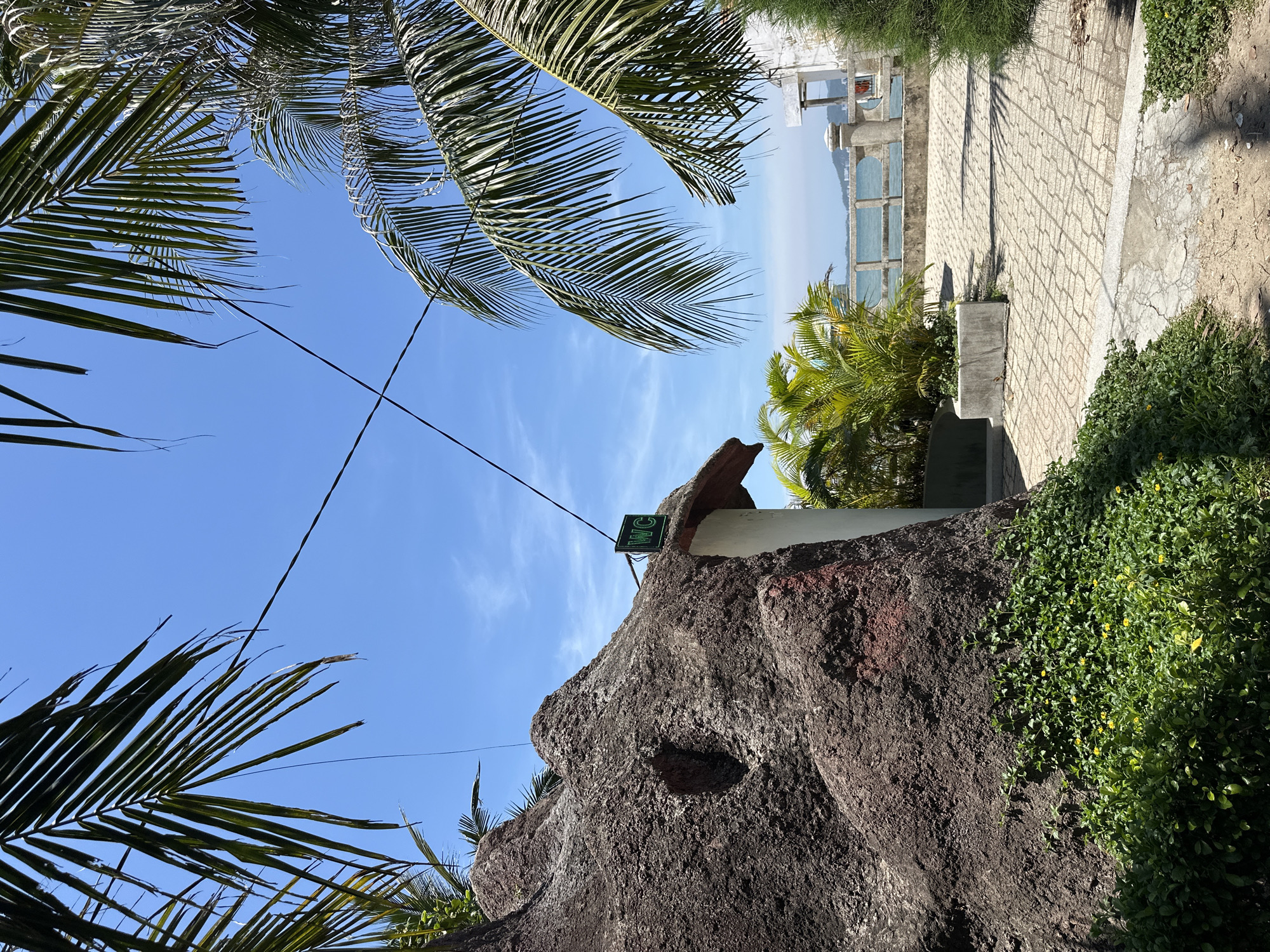 The image depicts a scene in Bac Nha Trang Ward, Vietnam, featuring a unique building structure with a rocky facade, resembling a man-made mountain. A green "WC" sign is prominently displayed above an entrance to this structure. Lush green foliage, including small yellow flowers and palm fronds, surrounds the building. The ground in front of the structure is paved with interlocking stones, leading towards a concrete walkway and a railing overlooking a body of water, likely the sea, with a distant coastline visible. The sky is clear blue with a few wispy clouds. Power lines are visible crossing the frame against the sky. There are no people visible in the image. The overall impression is a tropical, outdoor public facility.