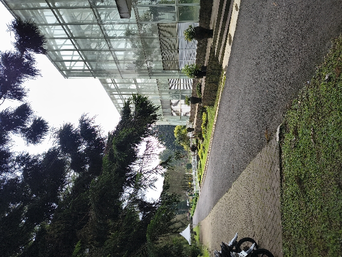 A long glass building stands near trees and a pathway. The building's reflection is seen in its many windows. A black asphalt path runs parallel to the building's base. On the opposite side, the path is brick. Green grass and plants border the pathway. There is a small parked motorcycle in the bottom corner of the picture.