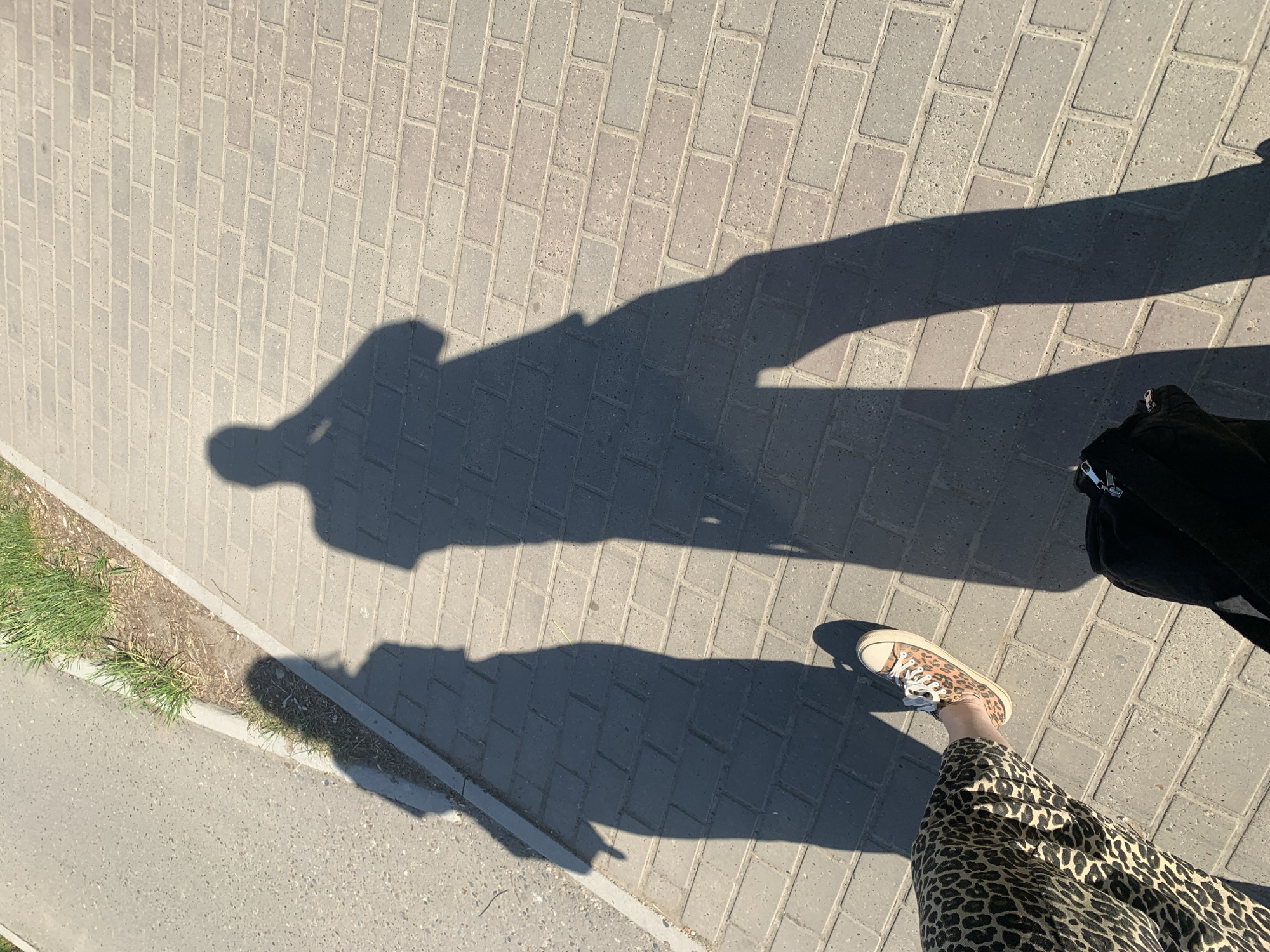 The image shows a person's shadow and a portion of their body on a paved surface with rectangular blocks. The person is wearing a leopard-print skirt and a sneaker with a leopard-print pattern. Next to the paved surface is a strip of grass and another paved surface. The shadow suggests the person is standing and possibly holding something. The location is Chaikovsky, Russia.