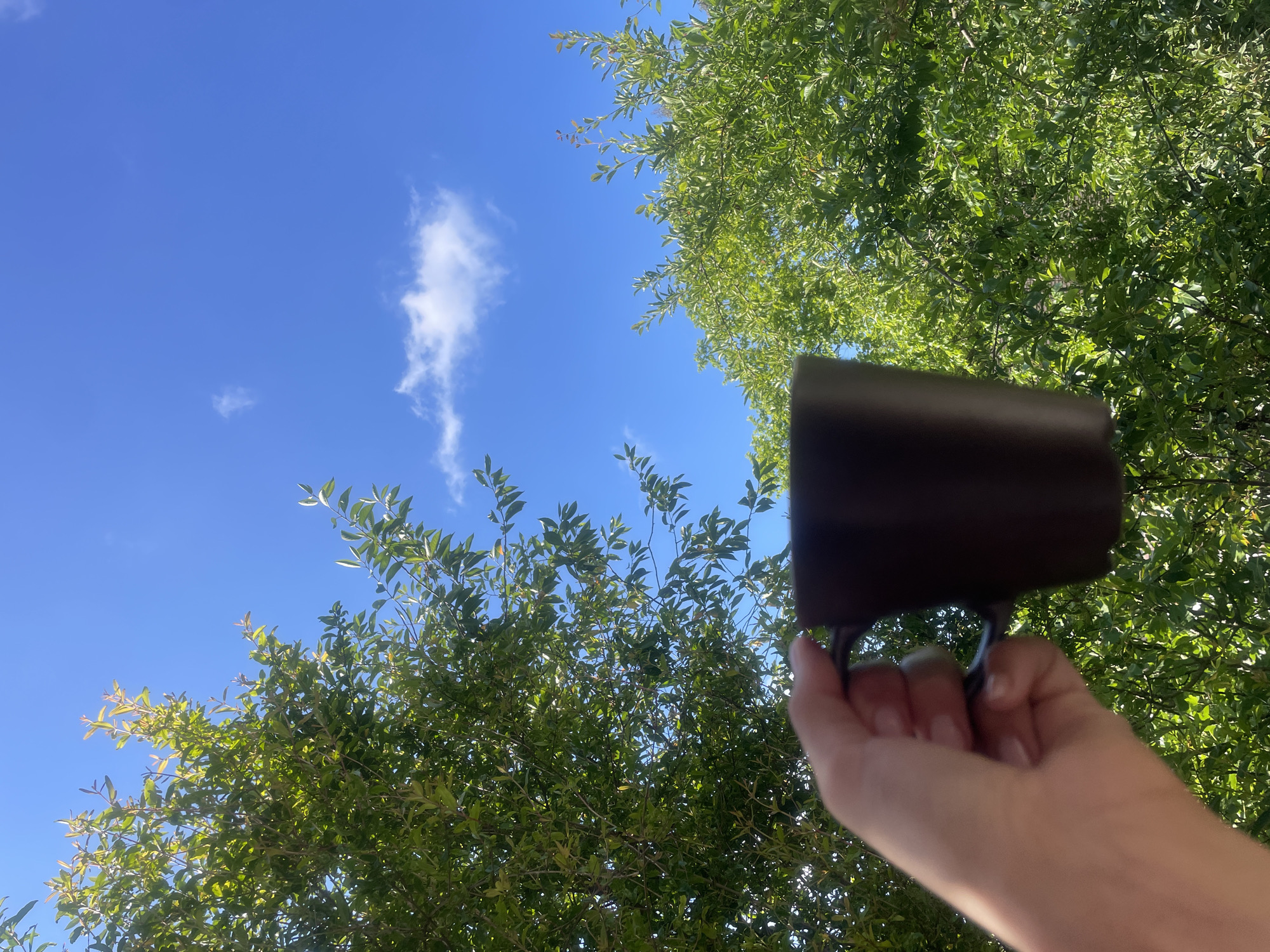 A hand holds a dark brown mug against a bright blue sky with scattered white clouds. Lush green foliage from trees frames the sky on both the left and right sides of the image. The perspective is from below, looking upwards. The scene is outdoors and appears to be during the daytime, suggesting a relaxed or contemplative moment. There are no visible signs of the city of Baranovka, Russia.