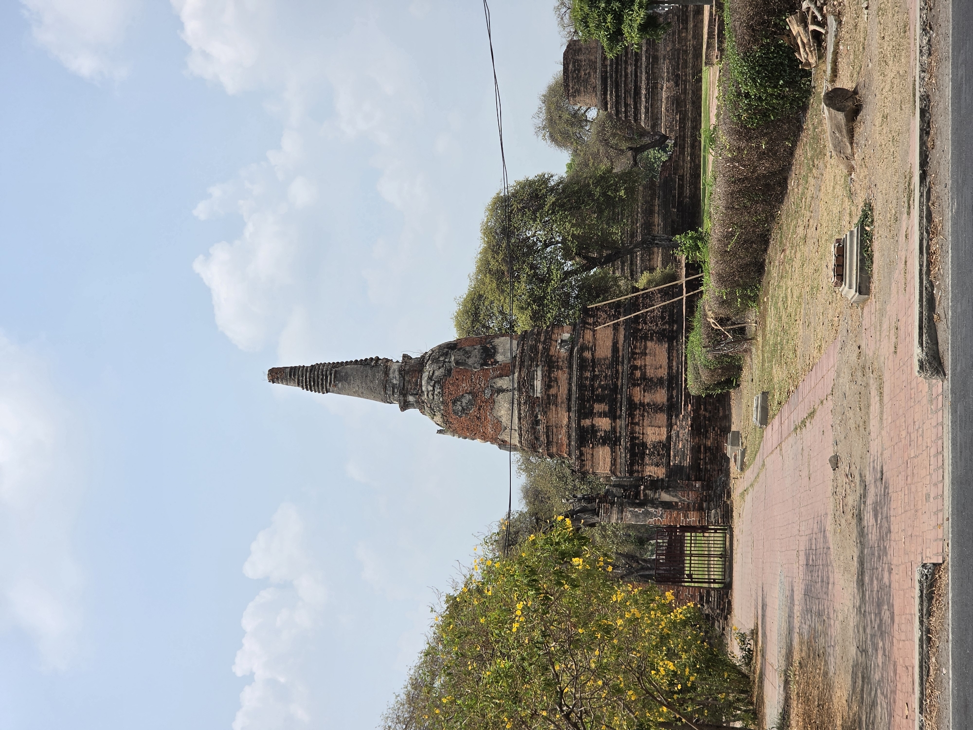 The image shows the ruins of a temple in Phra Nakhon Si Ayutthaya City Municipality, Thailand. The temple's main structure is a tall, brick chedi, partially crumbling, with a pointed spire. The lower sections of the chedi are surrounded by trees and other vegetation. A section of brick wall with a gate stands nearby. In the foreground, a tree with yellow flowers is partially visible. The background is composed of a blue sky with scattered white clouds. The foreground also includes a red brick walkway running parallel to the temple and wall, with an asphalt road further along. The overall scene depicts an ancient temple complex amidst modern surroundings.