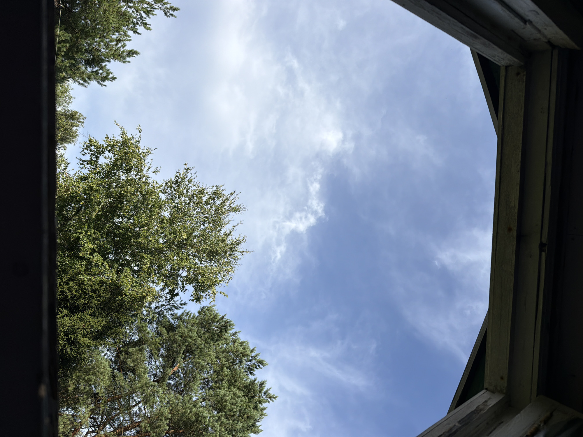The image shows a view of a blue sky with wispy white clouds, seen through an open wooden frame. In the lower part of the frame, the tops of various trees are visible, including coniferous trees and deciduous trees with green foliage. The wooden frame appears to be part of an outdoor structure, possibly a gazebo or a rustic building. The setting is likely outdoors, in a natural or semi-natural environment, consistent with a dacha settlement or a park. The scene does not contain any people or visible human activity. The lighting suggests it is daytime, with the sun likely overhead or to the side, casting natural light on the scene. The image appears to be taken from a slightly elevated position looking upwards towards the sky and trees.