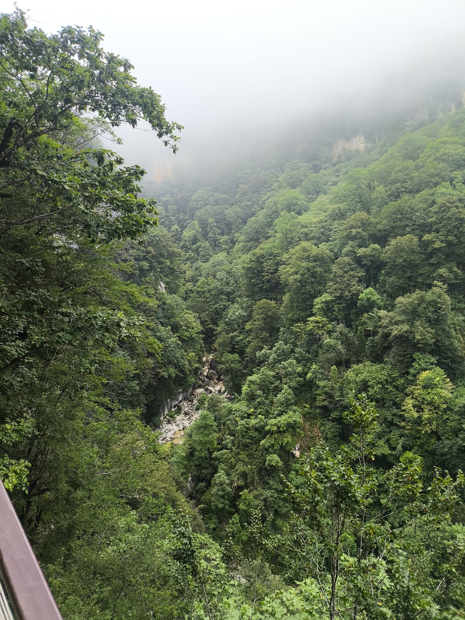 The image depicts a lush, green gorge with dense forestation covering the steep slopes. A narrow, rocky riverbed is visible at the bottom of the gorge, with a small amount of water flowing through it. The upper reaches of the gorge are shrouded in mist, suggesting a cool or humid climate. The vegetation consists primarily of deciduous trees with varying shades of green foliage. In the foreground, a railing or barrier suggests a viewing platform or pathway, offering a vantage point over the natural landscape. The overall impression is one of a wild and remote natural environment. This scene is located in the city of Satsiskvilo, Georgia.