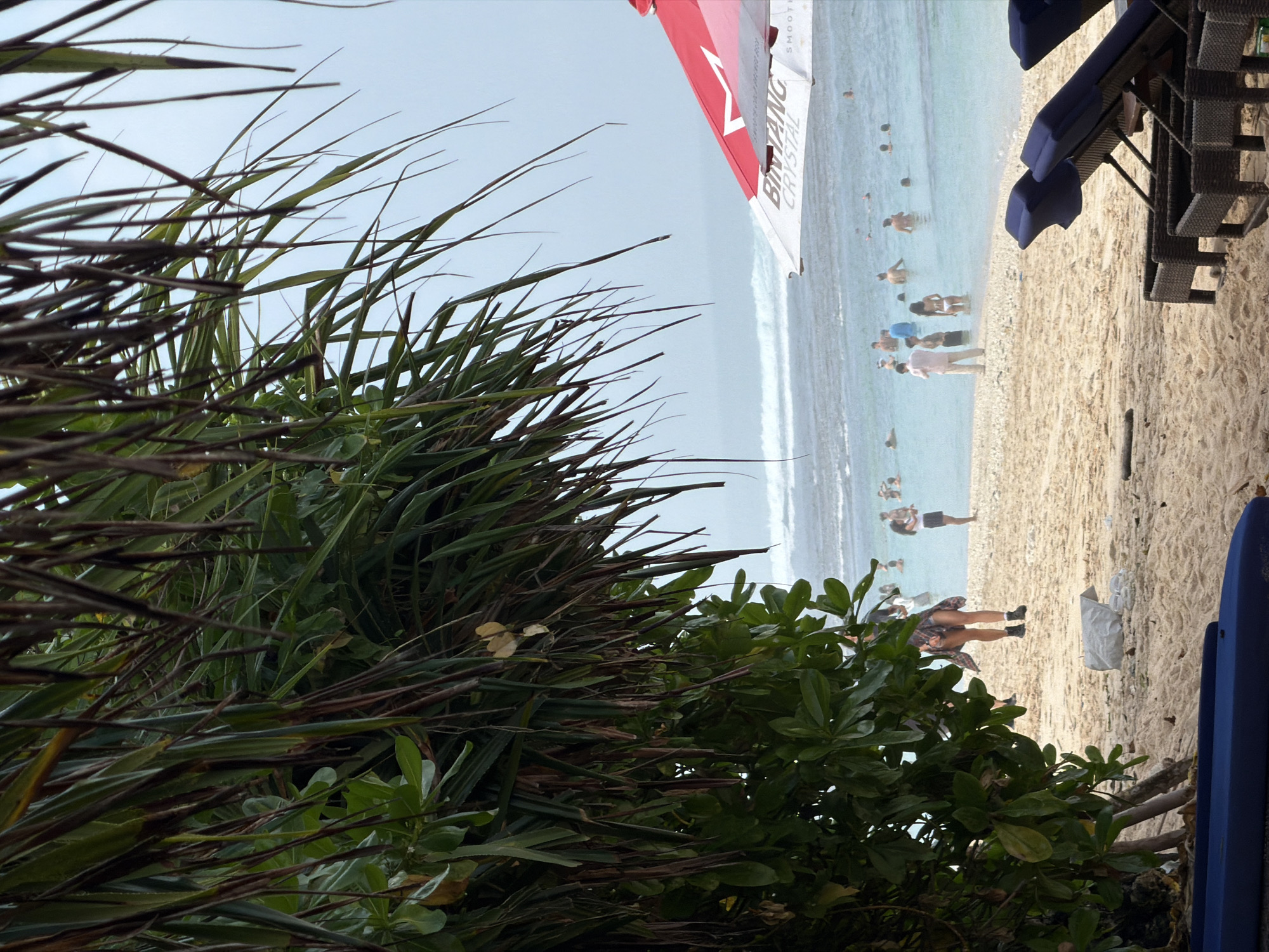 The image depicts a crowded beach scene in Kuta Selatan, Indonesia, with the ocean in the background. In the foreground, tropical foliage partially obscures the view of the sand, where several empty lounge chairs are placed. The sand is scattered with leaves and some debris, including a white plastic bag. A dark blue surfboard or similar object is visible at the bottom left of the frame. In the mid-ground, a group of people are wading and swimming in the shallow, turquoise water. Several individuals are standing on the sandy shore, with some appearing to be interacting. A red and white umbrella, emblazoned with the "Bintang Crystal" logo, is partially visible on the right side of the image, suggesting a beachside establishment or vendor. The water is calm with gentle waves rolling in. The overall atmosphere is that of a typical busy tourist beach.