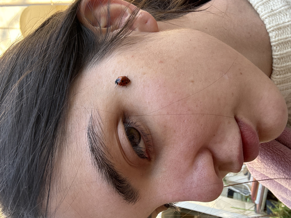 The image depicts a close-up, right-profile view of an individual's face in Vincennes, France. The subject is a young adult female with fair skin, dark brown hair partially visible, and a visible right eye looking downwards. A small, red ladybug with black spots is stationary on her right cheek, positioned between the outer corner of her eye and her hairline. Her right eyebrow is prominent, and her lips are slightly parted. She is wearing a light-colored, possibly cream-colored, knitted garment on her right side, with a pink fabric visible on her left side. The background is softly blurred, suggesting an outdoor setting with natural light, showing indistinct shapes that could be foliage and structural elements.