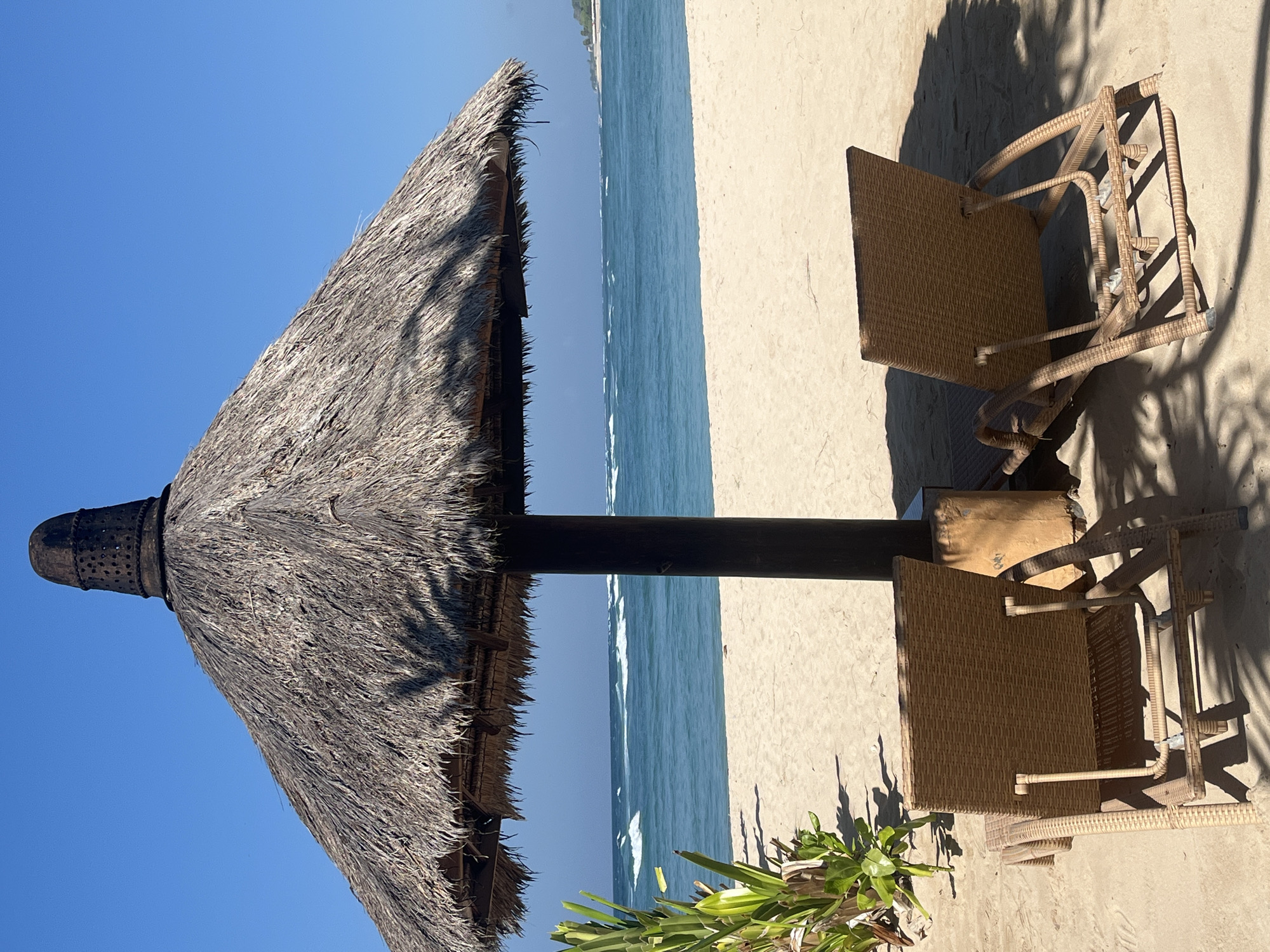 The image depicts a tranquil beach scene in Kuta Selatan, Indonesia, under a clear blue sky. In the foreground, two woven lounge chairs rest on the light brown sand, partially shaded by a large thatched umbrella. The umbrella's textured roof casts intricate shadows on the sand. To the left of the umbrella, a cluster of lush green tropical plants adds a touch of vibrant foliage to the scene. Beyond the sand, the turquoise ocean stretches out, with gentle waves breaking along the shore. The horizon is marked by a distant, hazy coastline. The overall impression is one of peaceful relaxation and natural beauty.