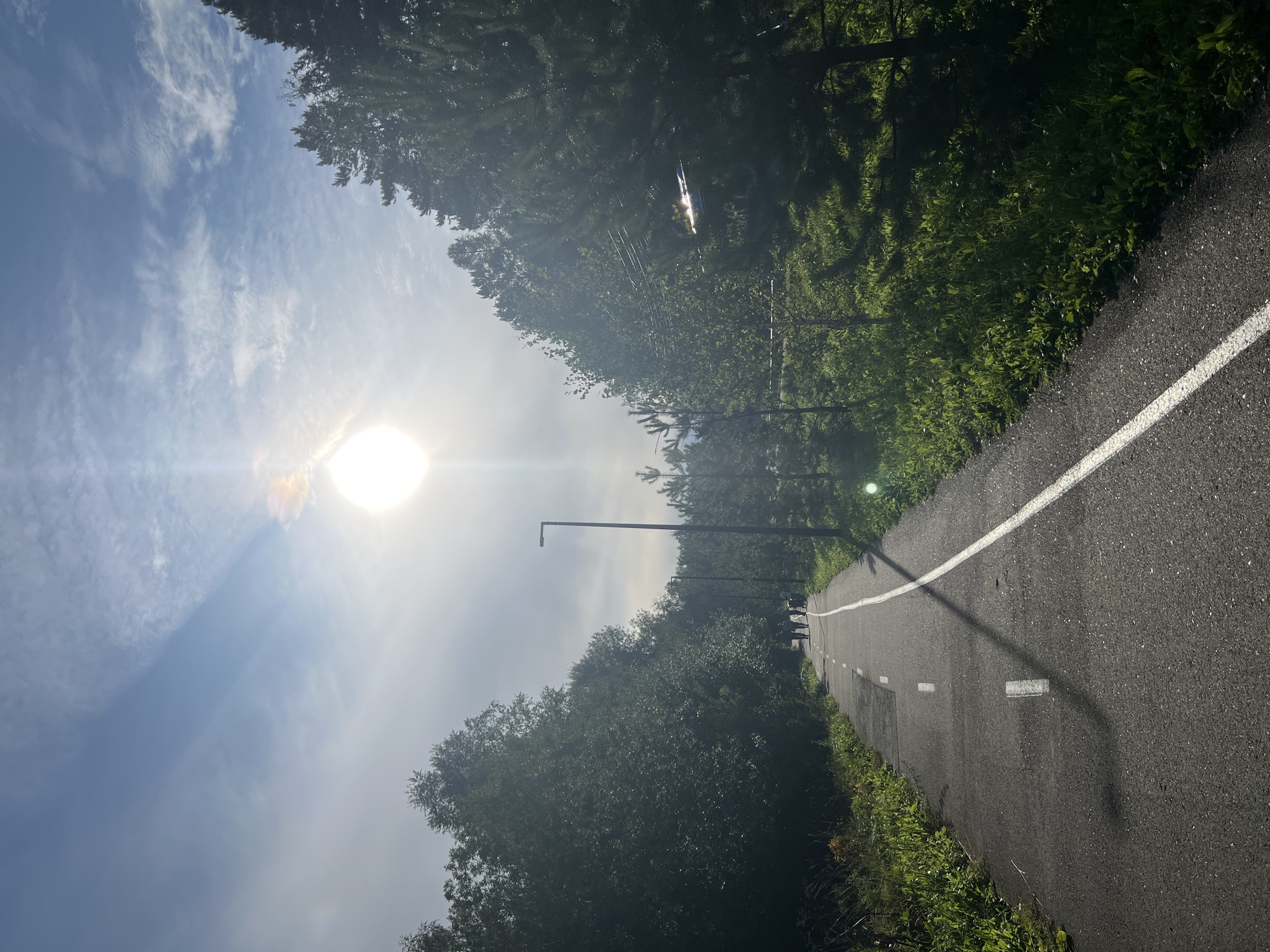 This image depicts a paved pathway bordered by trees and greenery, illuminated by bright sunlight filtering through a partly cloudy sky. The pathway has white markings indicating lanes, and a few individuals are walking in the distance along it. Several streetlights are visible along the path. The environment appears to be a park or recreational area. The location is identified as Krasnoyarsk, Russia, specifically a path in the "Park of Flora and Fauna of the Roev Ruchey" zoo.