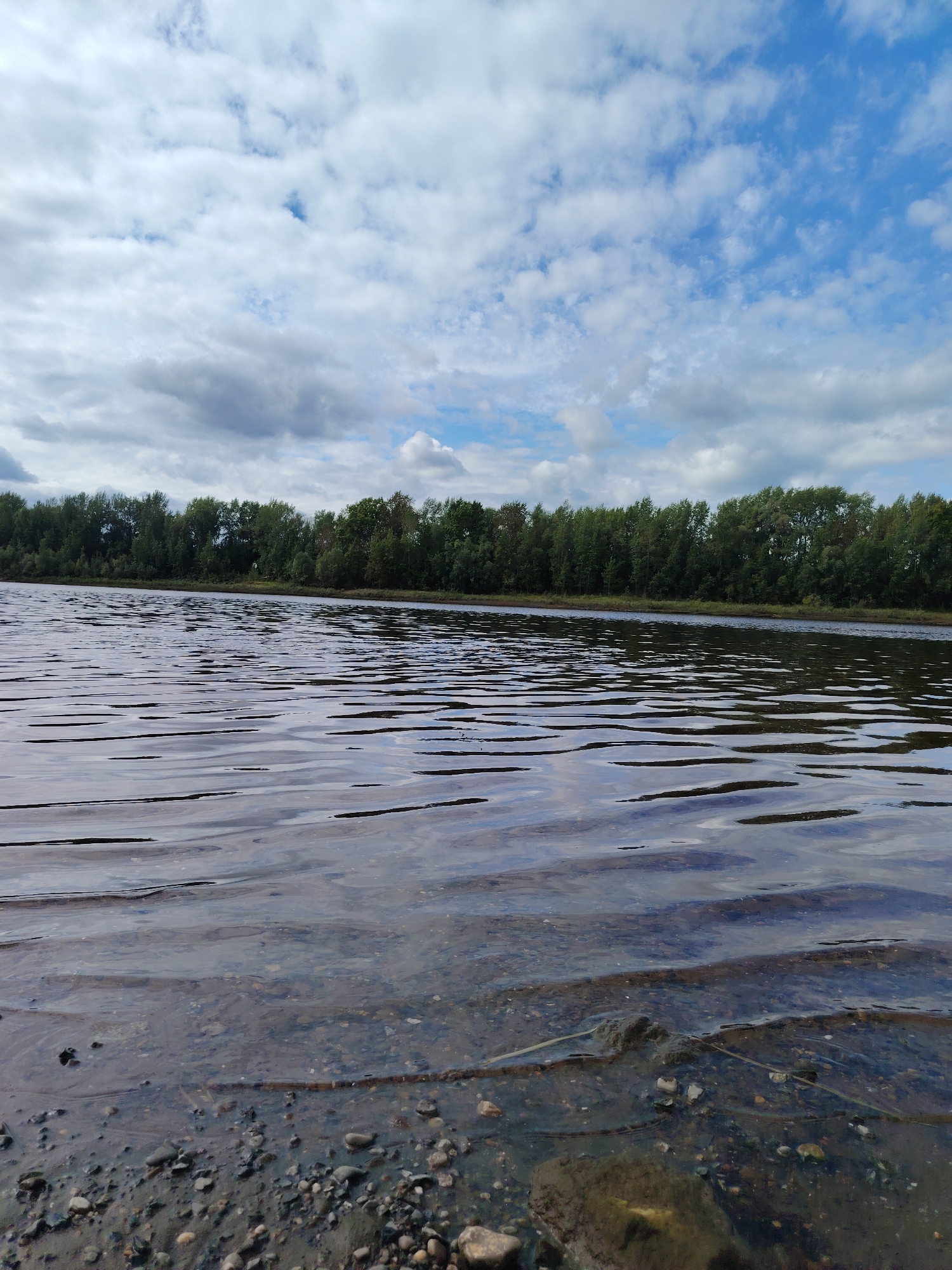 The image depicts a wide, calm river in Chaikovsky, Russia. The foreground features the shallow, clear water revealing a gravelly riverbed with scattered stones and some debris. Gentle ripples disturb the surface of the water. In the background, a dense line of green trees forms a horizon across the far bank of the river. Above the trees, a dynamic sky displays a mix of white and gray clouds against patches of blue. The scene is natural and serene, with no people or man-made structures immediately visible.