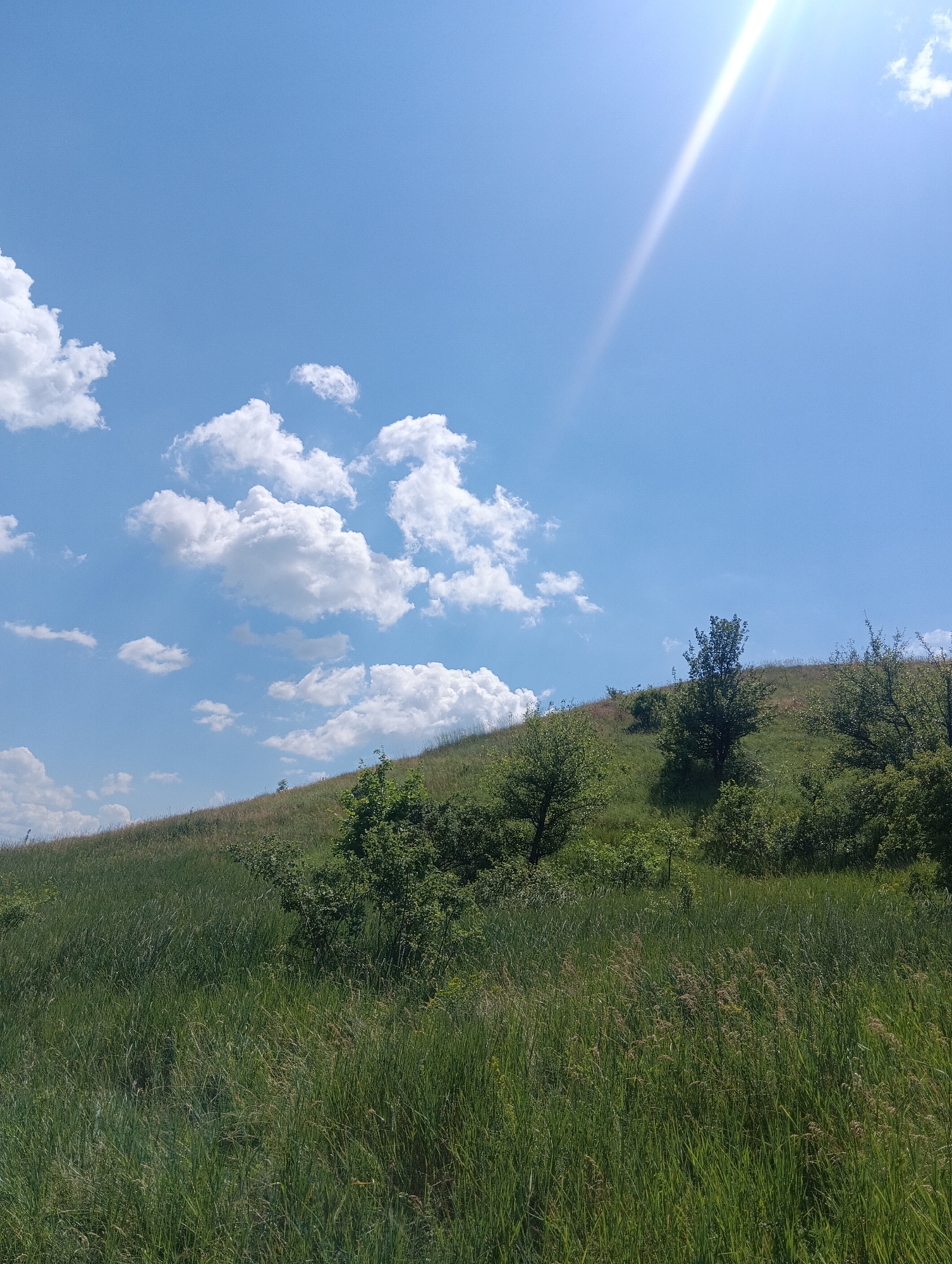 An exterior, eye-level, landscape, daytime, full shot shows a gently sloping, grassy hill under a bright blue sky with scattered white clouds and a sunbeam. The foreground is dominated by tall, green grass, some of which appears dry and light brown. The middle ground features the green hillside dotted with various green bushes and a few scattered trees. In the background, the sky takes up the upper two-thirds of the frame, with a strong sunbeam originating from the top right corner. The scene is devoid of people or any specific man-made structures, suggesting a natural or undeveloped area. The location is described as Unknown, Unknown.