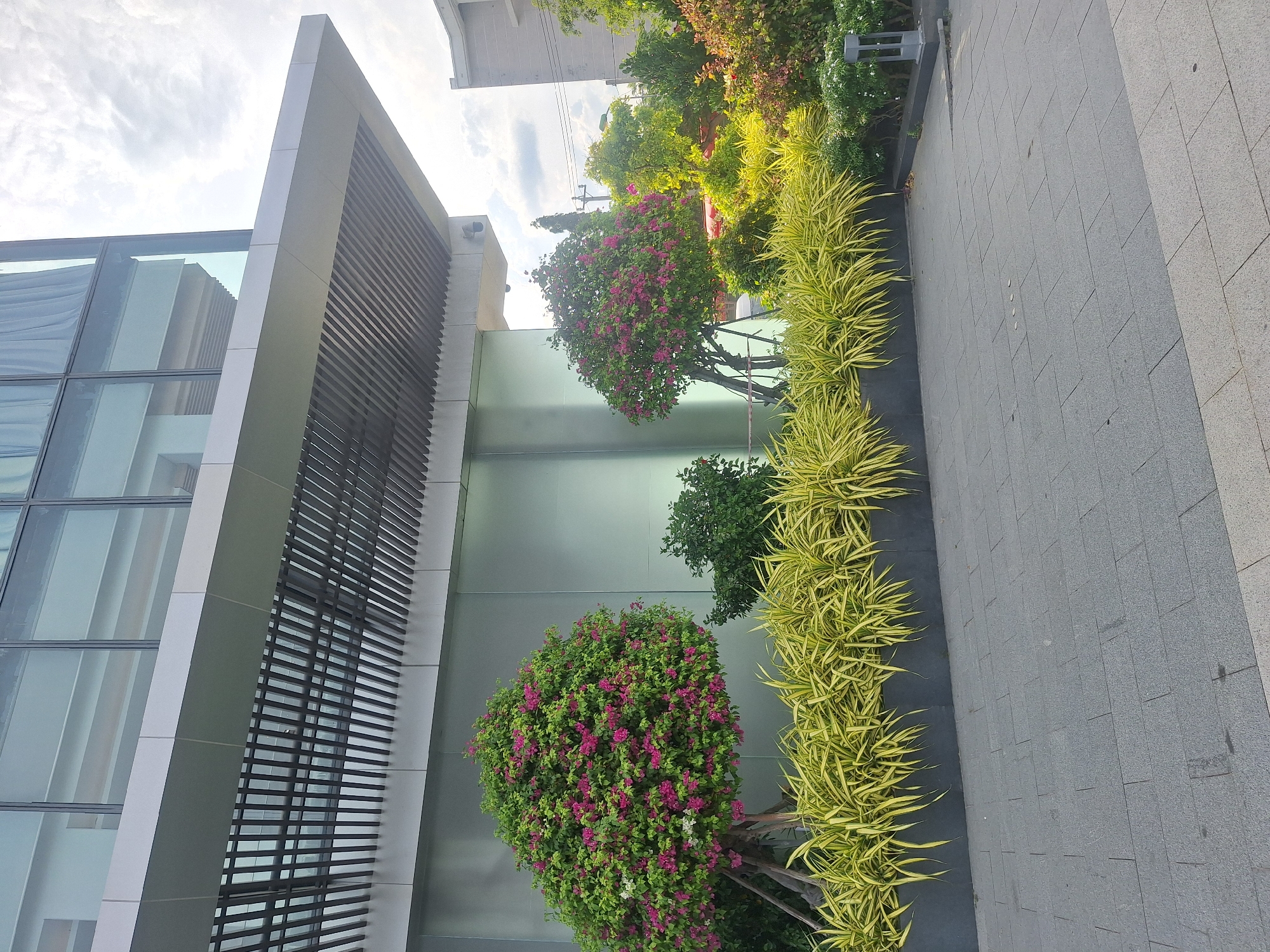 The image depicts a modern building with a glass facade and an overhang supported by metallic louvers. Below the overhang, lush greenery is visible, including a large flowering tree with vibrant pink blossoms and a dense hedge of yellow and green foliage. The building appears to be located in an urban setting, possibly in Nha Trang, Vietnam, given the architectural style and vegetation. The ground in front of the building is paved with grey tiles. The sky is cloudy, suggesting it might be daytime with overcast conditions. No people are visible in the frame.