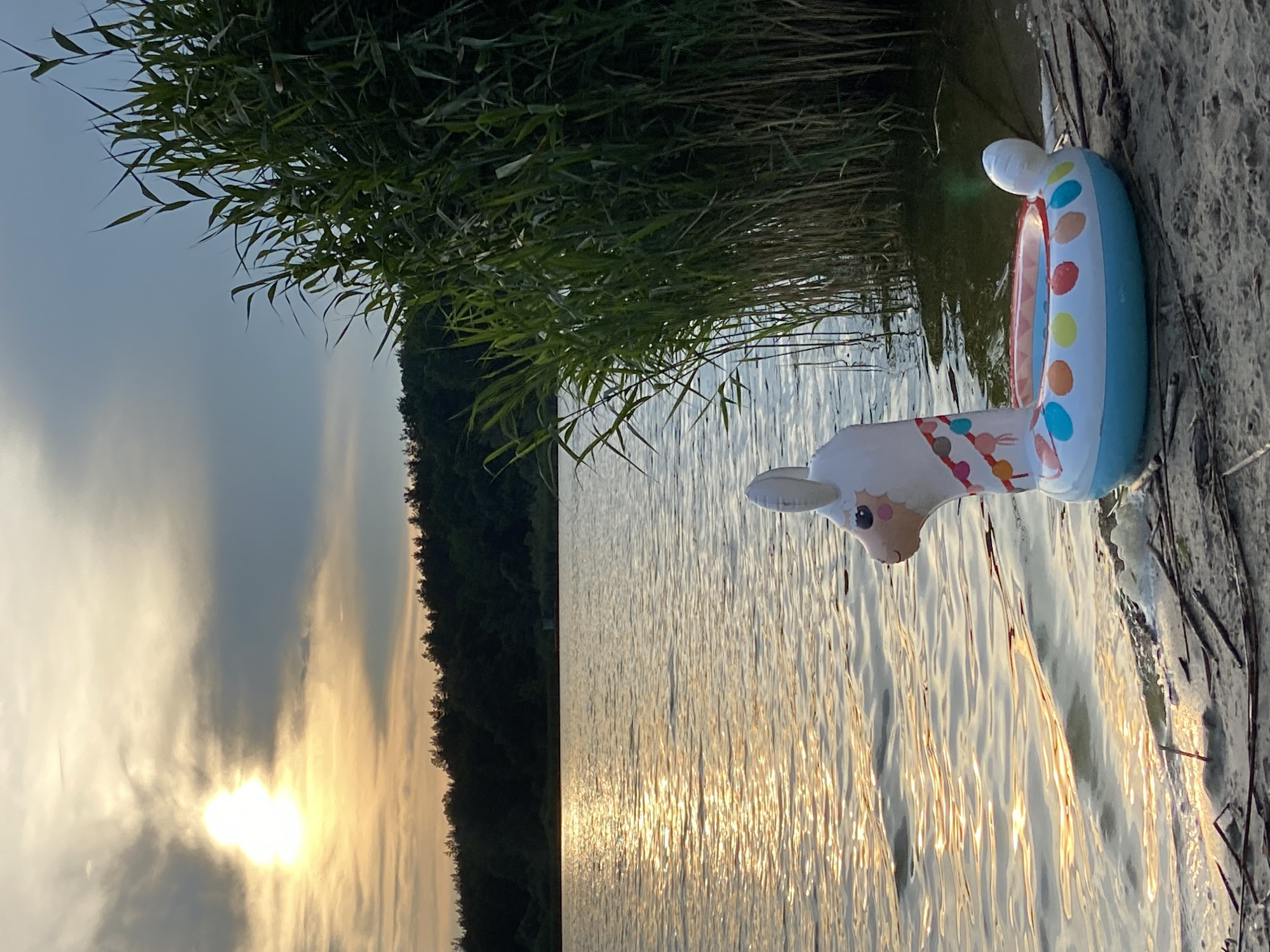 An inflatable llama-shaped pool float rests on the sandy shore of a lake, partially submerged in the water. The float is white with a pink and orange face, and the ring part is blue with colorful polka dots. Tall, green reeds grow along the edge of the lake to the right of the float. The sun is setting over the water, casting a golden glow on its surface and creating reflections of the sky, which is partly cloudy with dramatic, dark clouds interspersed with patches of sunlight. A dense line of trees forms a dark silhouette against the horizon behind the lake. The scene is peaceful and serene, evoking a sense of relaxation and nature. The location is Unknown, Unknown.