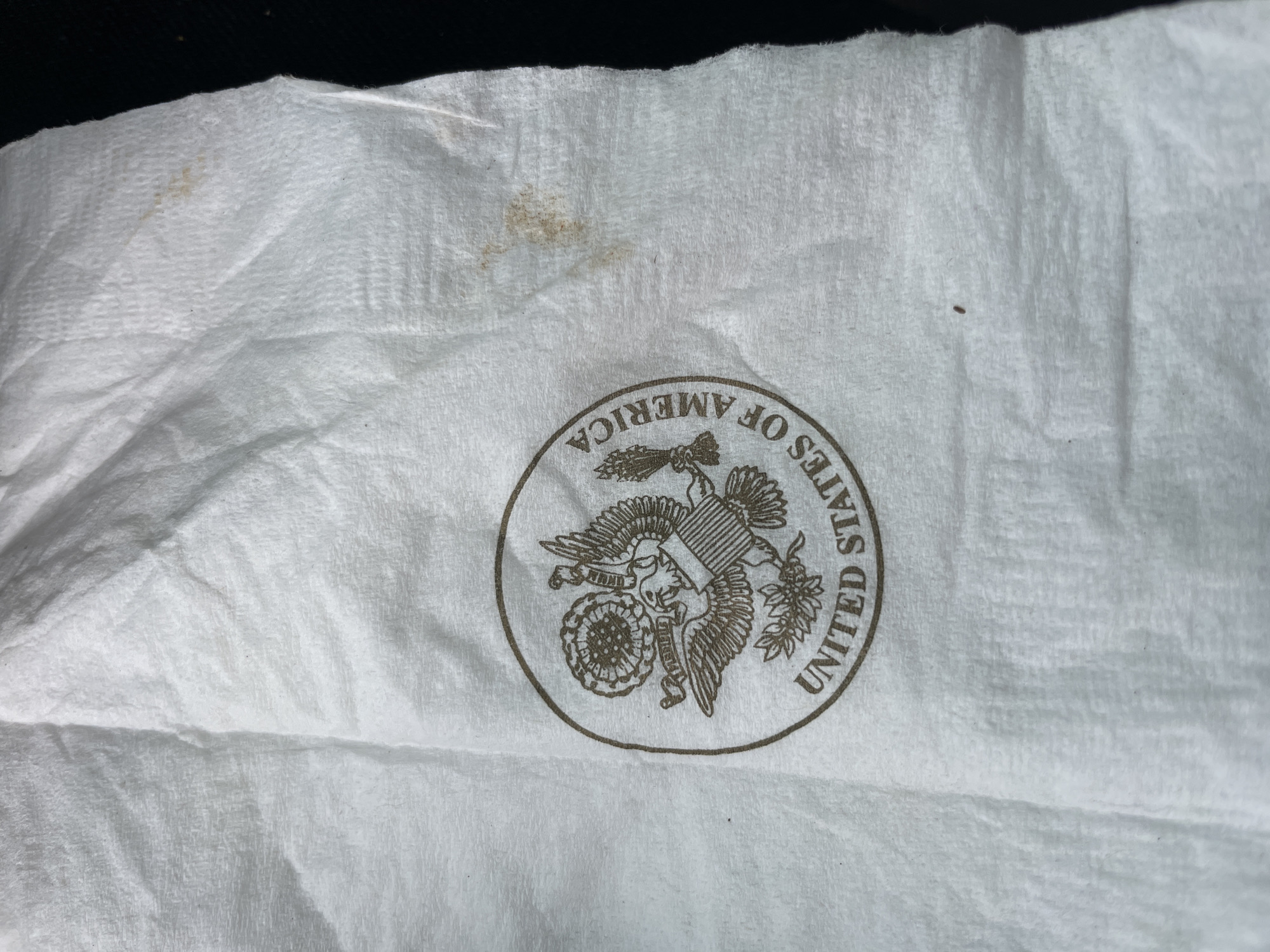 A wrinkled, white paper napkin lies on a dark surface. Printed on the napkin is a circular emblem depicting the Great Seal of the United States, featuring an eagle clutching arrows and an olive branch. There is some staining on the napkin. There is no information given about the location being in Nabatum, Nigeria, nor is any other information given that would be possible to describe in the scene.