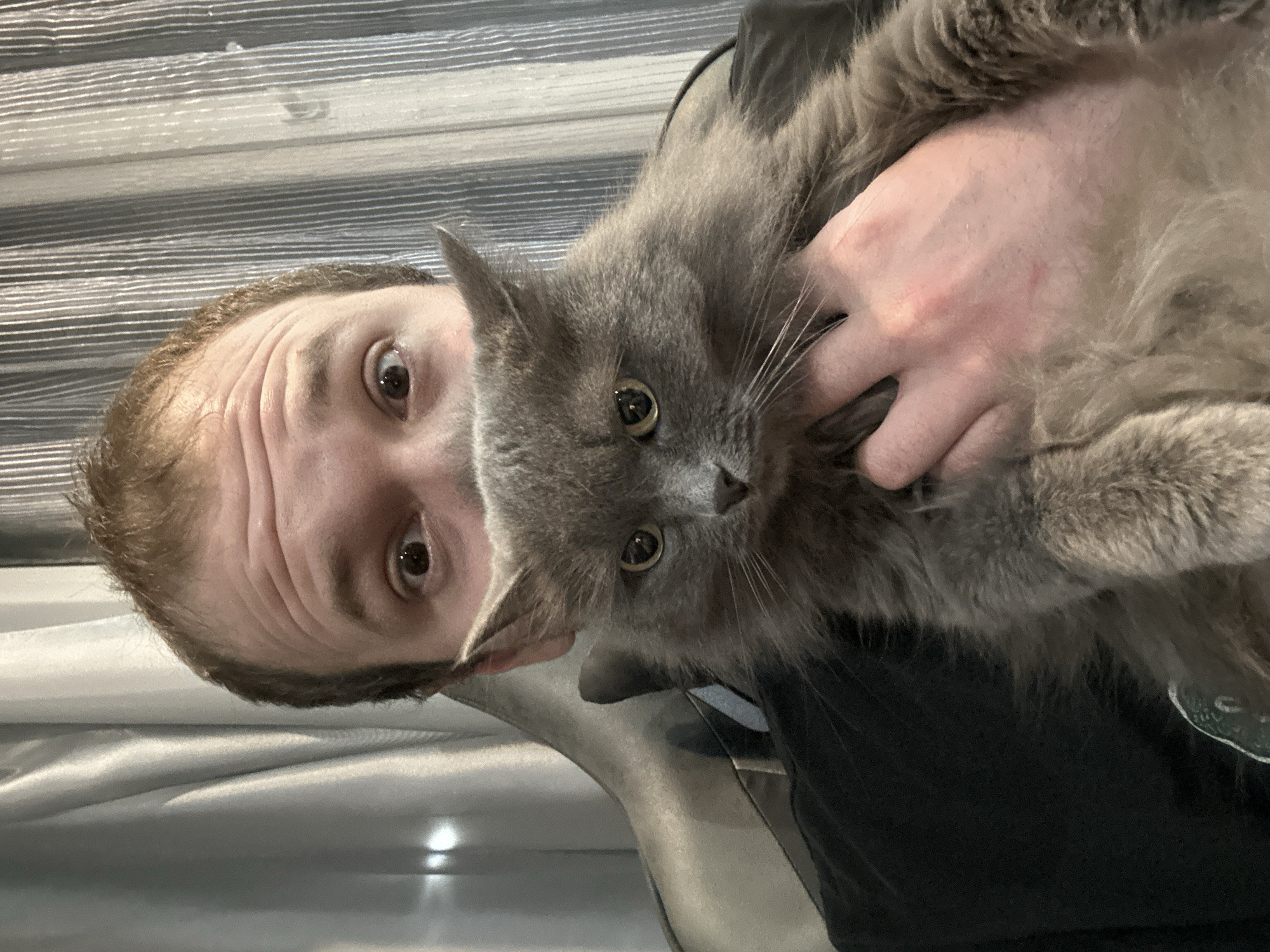 An image, rotated 90 degrees clockwise, captures a close-up portrait of a person holding a fluffy, gray cat. The scene appears to be indoors, against a backdrop of horizontal light and dark grey striped blinds or wall covering.
The person, positioned on the left side of the frame (due to rotation), has short, light brown hair and prominent forehead wrinkles. Their eyes are wide open, looking directly at the viewer with an expression that suggests surprise or humorous intensity. Only the upper half of their face is visible.
The cat, the central focus of the image, is a long-haired, medium-gray feline with golden-brown eyes and long white whiskers. Its ears are slightly flattened, and its gaze is directed forward, looking calm and composed. A human hand, belonging to the person, is visible holding the cat, partially hidden by its dense fur. The cat's body is mostly obscured by the fur and the person's grip, but its fluffy texture is evident. Part of a dark, possibly black, garment worn by the person is visible in the lower right corner.
No specific time of day is discernible, as the lighting appears to be artificial indoor light. There are no visible outdoor weather cues or explicit location markers within the image itself. There is no visible text. The provided context indicates the location is Chaikovsky, Russia.