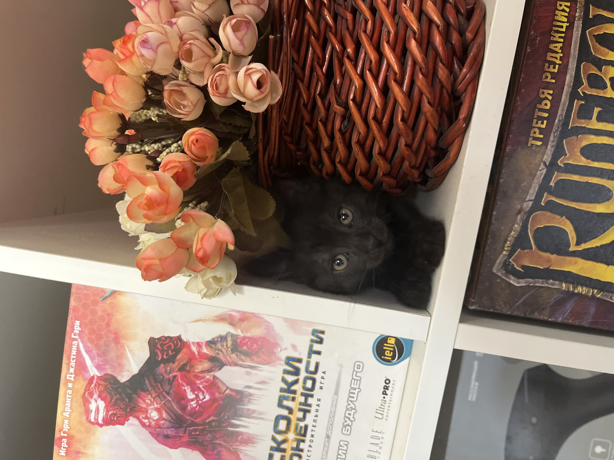A black kitten peeks out from behind a woven basket filled with artificial flowers on a white shelf. Next to the basket is a book with a red and orange cover featuring an illustration of a robotic figure. The shelf is part of a larger shelving unit. The scene is indoors, likely a home or a retail space. There are no visible indicators of the city of Shymkent, Kazakhstan.