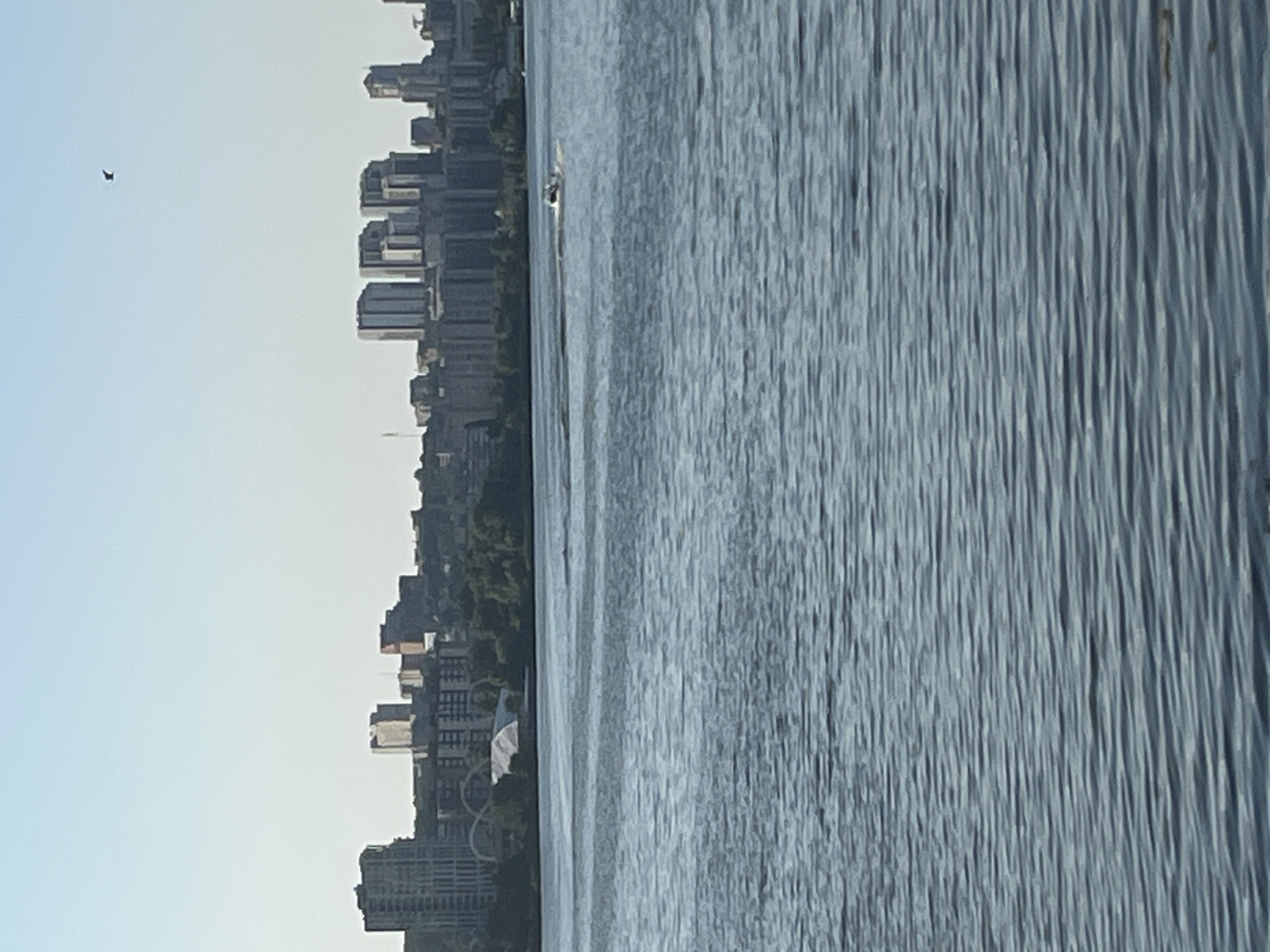 The image depicts a cityscape with a body of water in the foreground. Tall buildings, characteristic of an urban environment, line the left side of the frame, with trees interspersed between them. The architecture suggests a modern city. The body of water, appearing as a river or lake, fills the right half of the image and exhibits ripples, indicating movement. A small boat is visible on the water, suggesting recreational or transport activity. In the sky, a single bird is in flight. The lighting suggests it is daytime, possibly morning or late afternoon, given the soft, diffused light. The sky is clear and pale, hinting at fair weather. The overall scene conveys a sense of urban tranquility, with the juxtaposition of the developed city and the natural element of water. There is no visible text in the image.